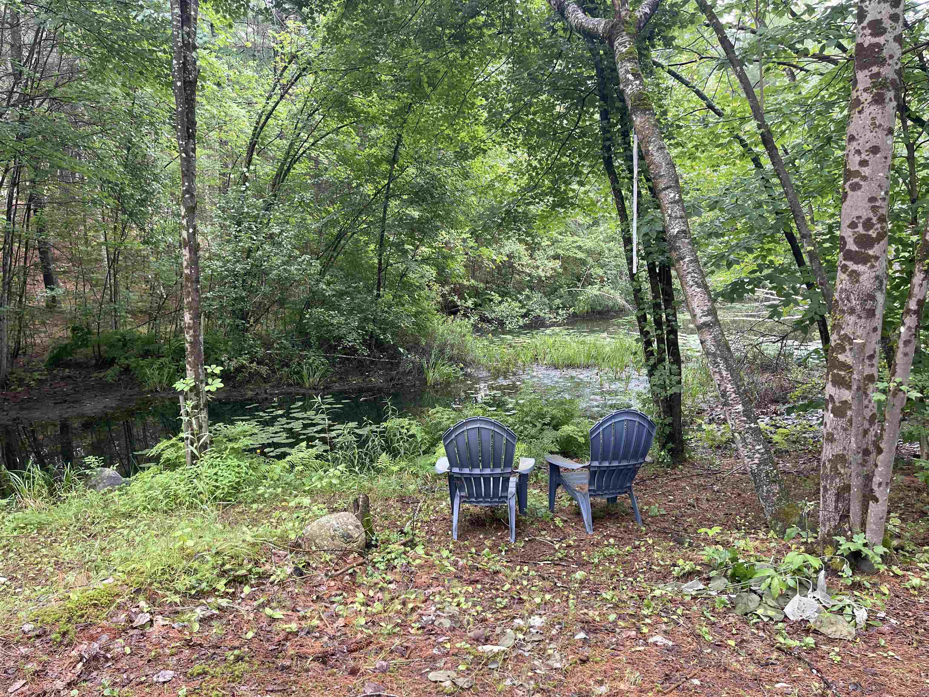 MLS #5051065 image #2