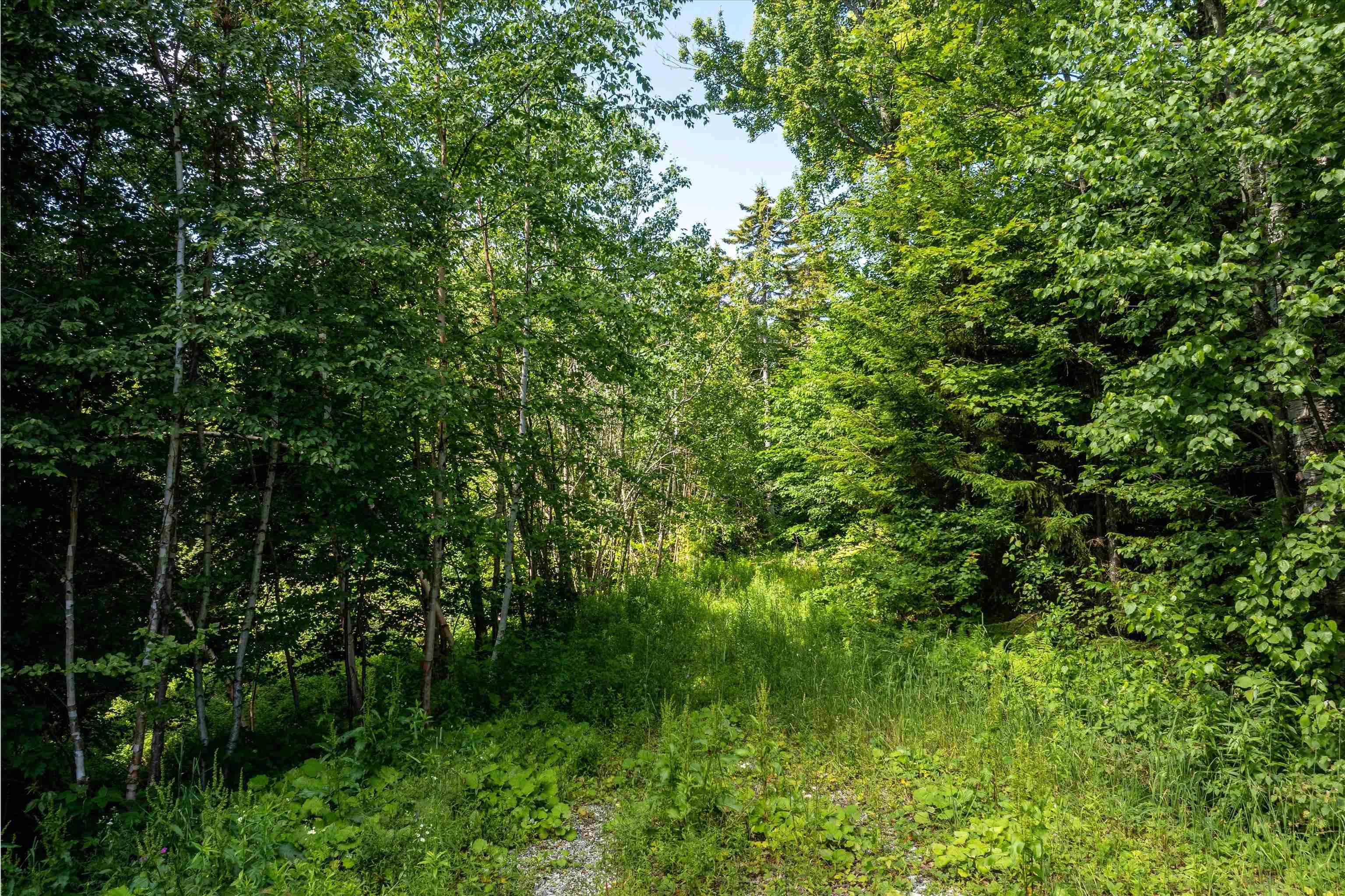 Homes for sale in Ludlow, VT | 00 Turtle Hill Rd, Ludlow, VT 05149 | MLS# 5051137