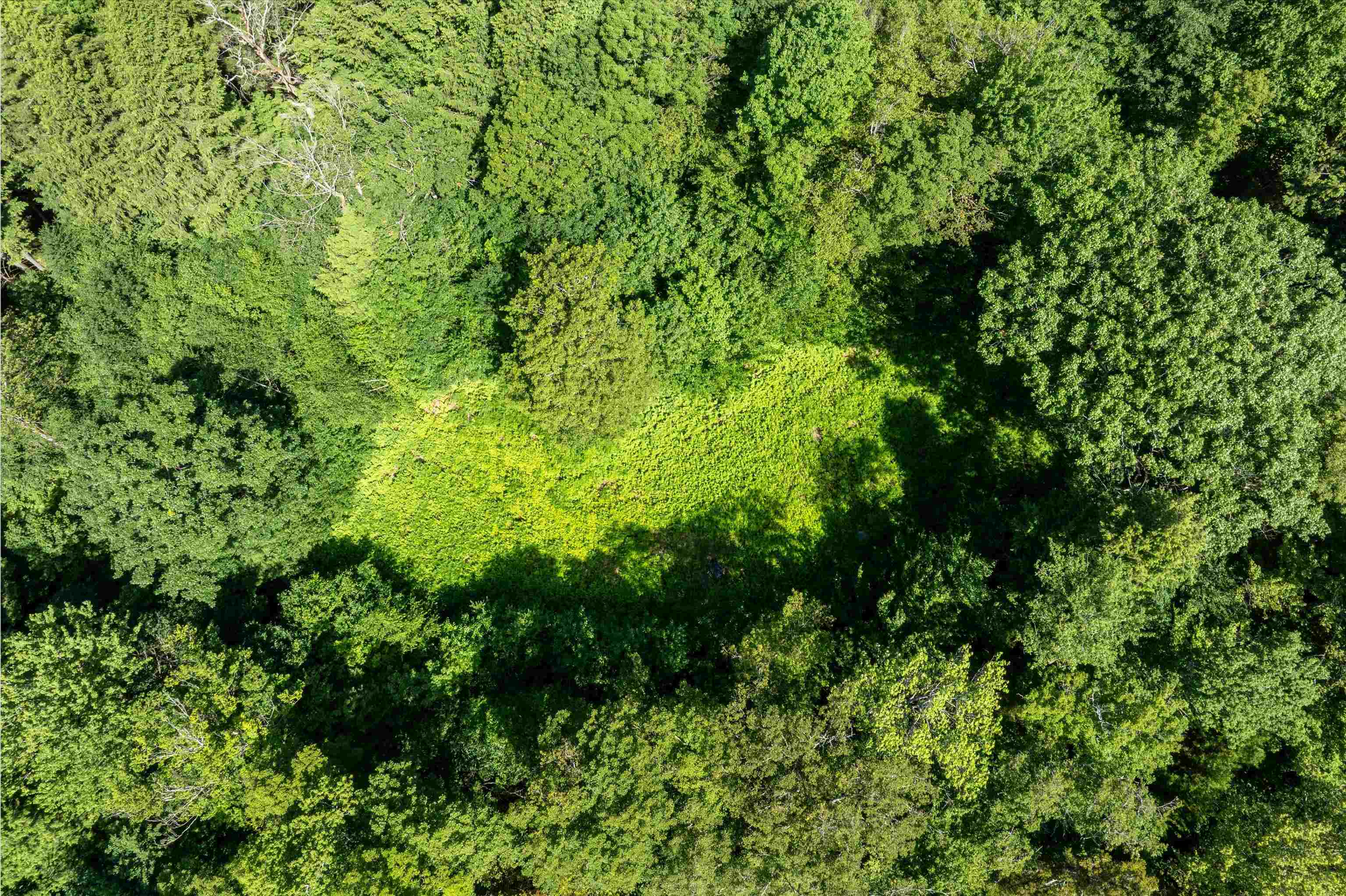 Homes for sale in Ludlow, VT | 00 Turtle Hill Rd, Ludlow, VT 05149 | MLS# 5051137