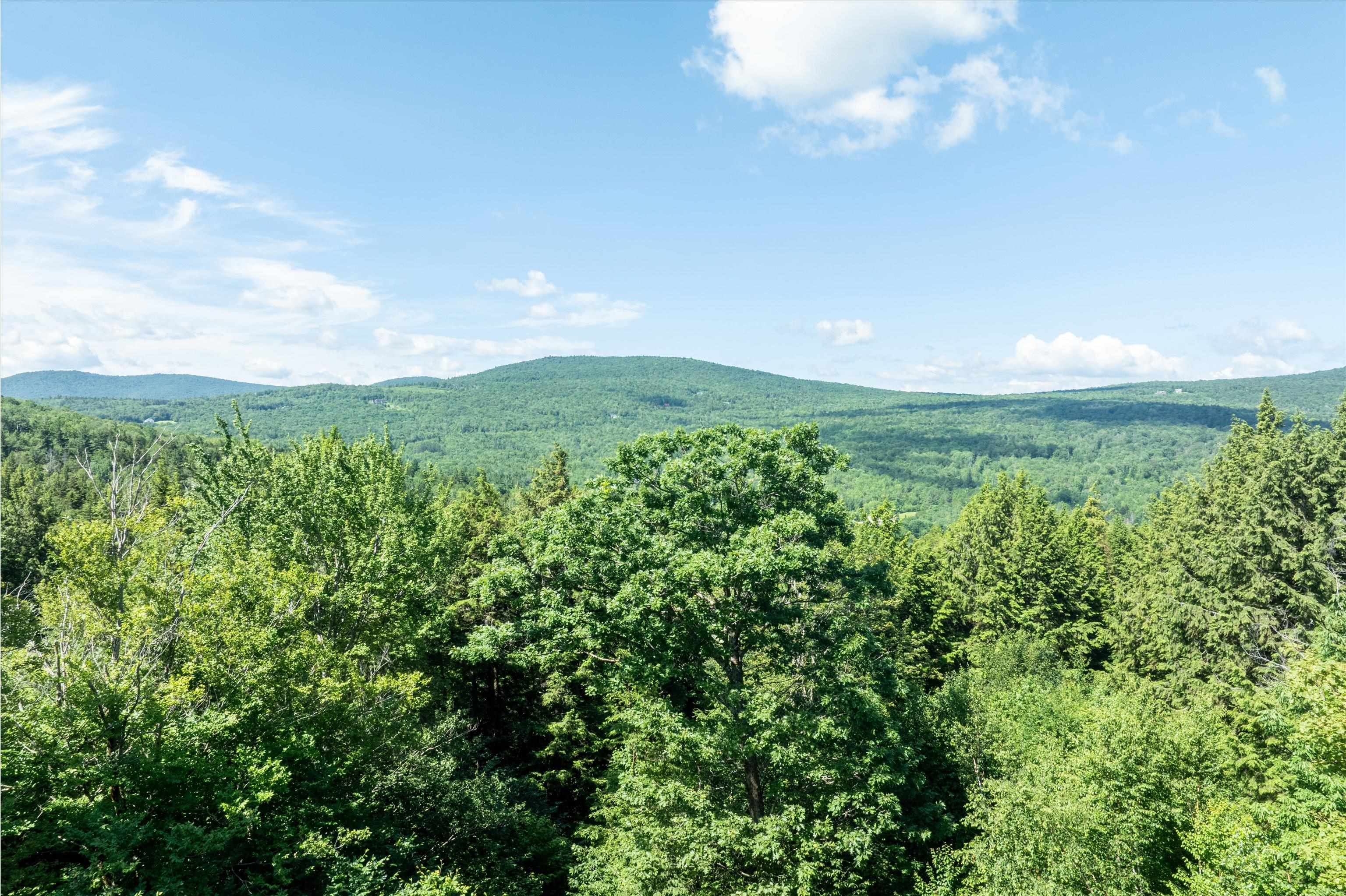 Homes for sale in Ludlow, VT | 00 Turtle Hill Rd, Ludlow, VT 05149 | MLS# 5051137