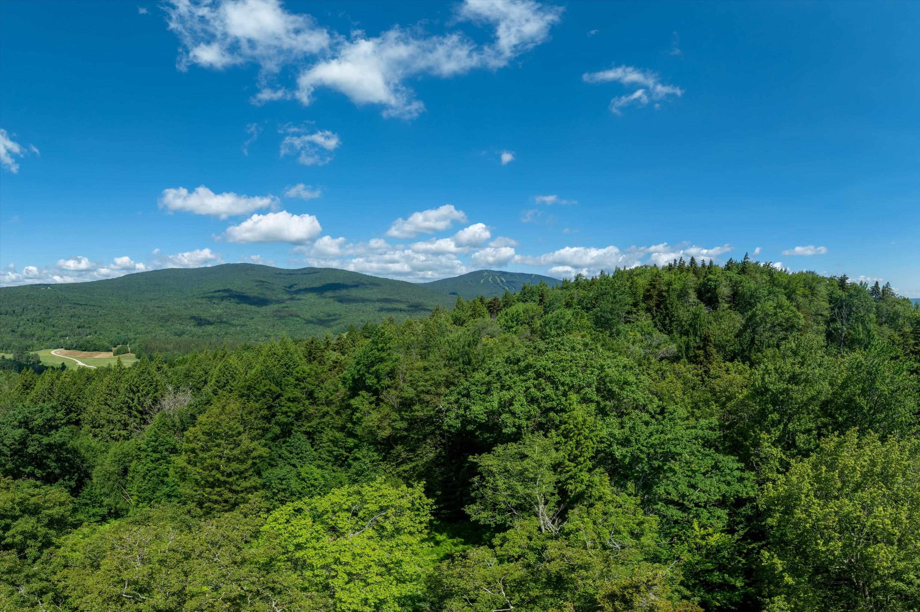 Homes for sale in Ludlow, VT | 00 Turtle Hill Rd, Ludlow, VT 05149 | MLS# 5051137