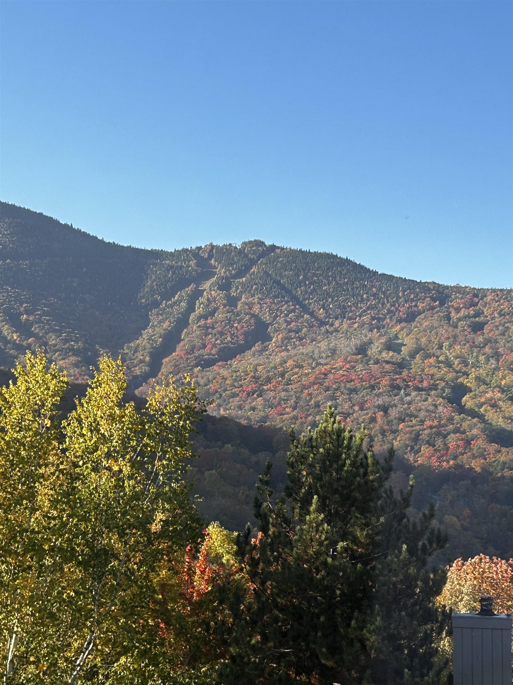 MLS #5051201 image #43