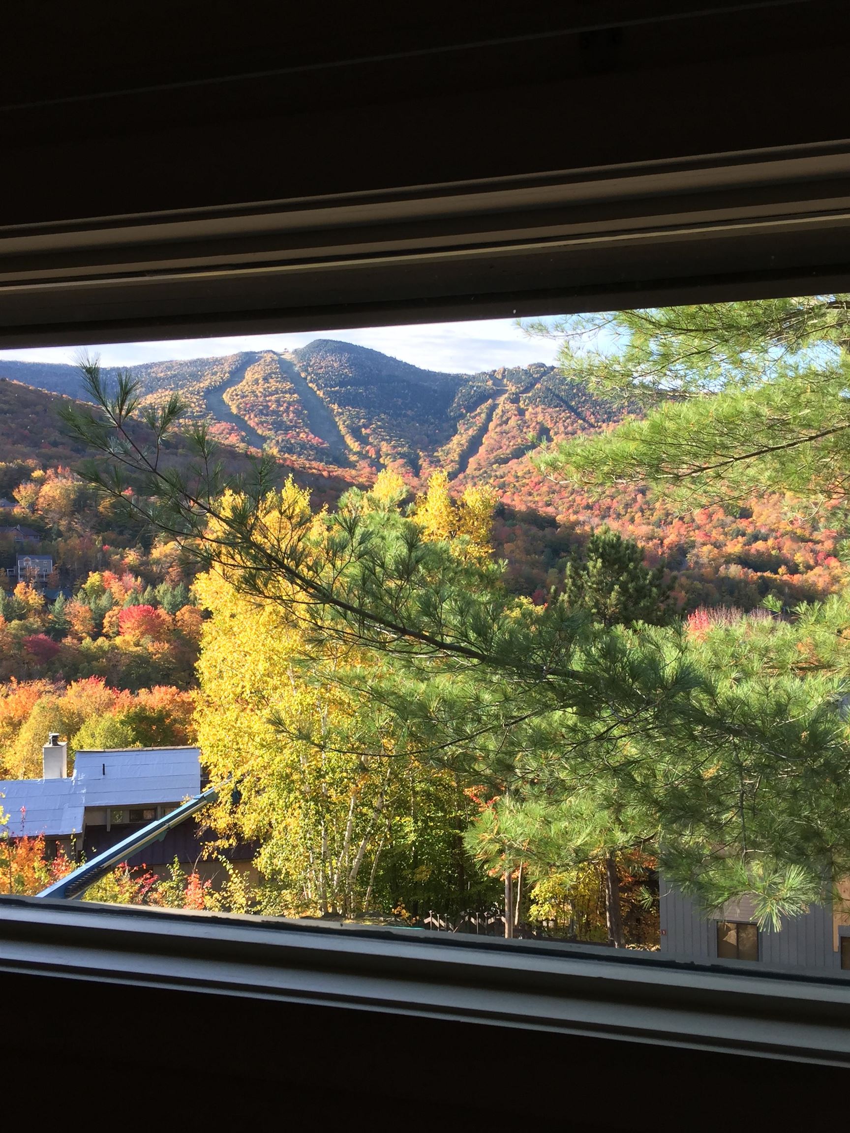 MLS #5051201 image #44