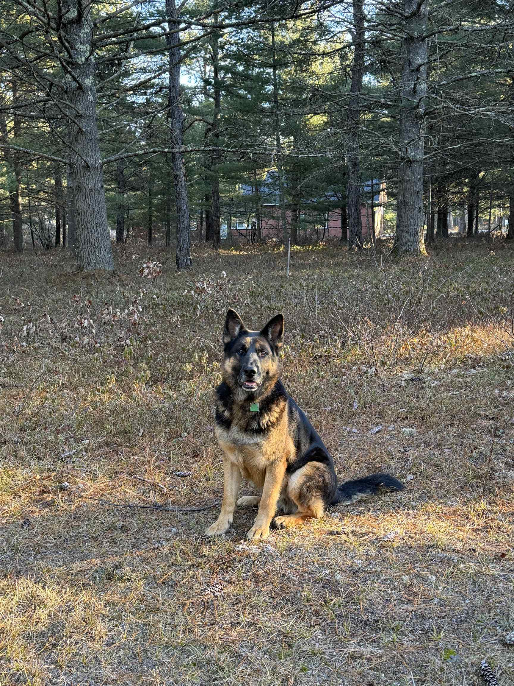 Homes for sale in Ossipee, NH | 12 Logan Way, Ossipee, NH 03890 | MLS# 5051276