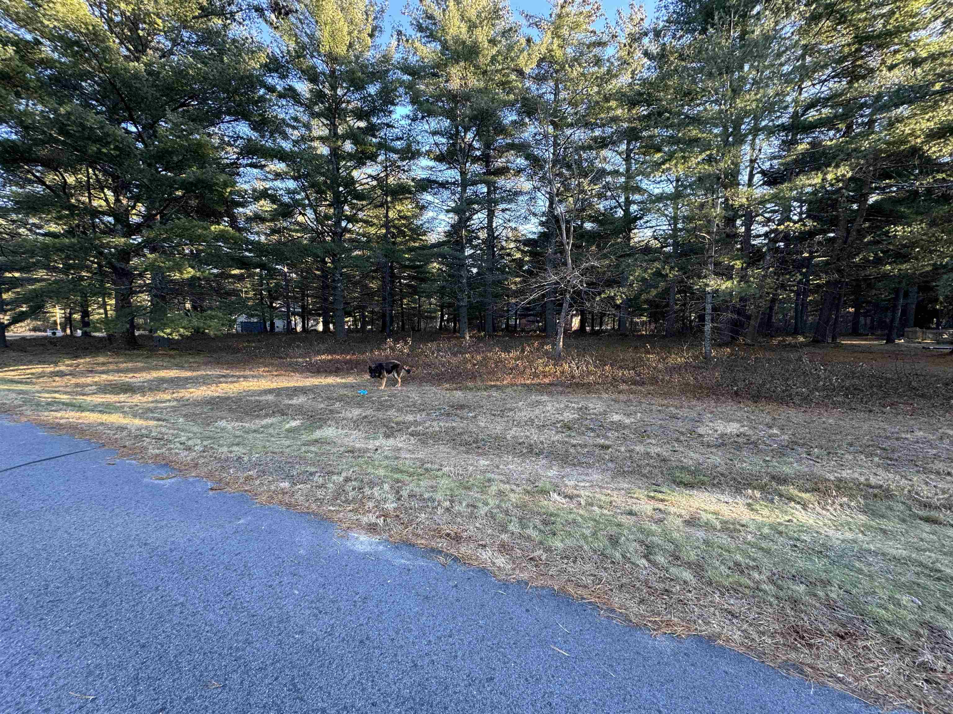 Homes for sale in Ossipee, NH | 12 Logan Way, Ossipee, NH 03890 | MLS# 5051276