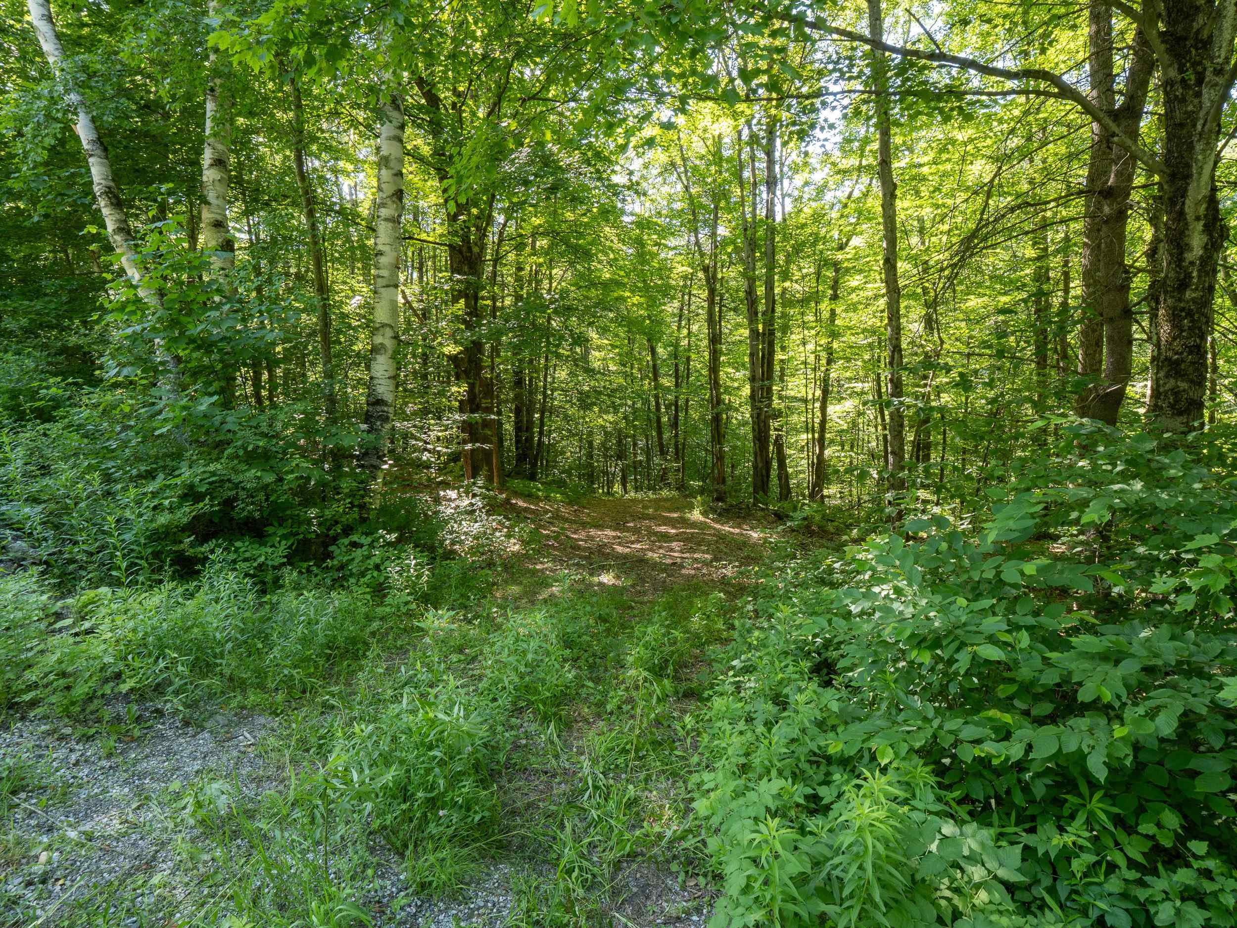 Homes for sale in Middletown Springs, VT | 150 Garron Rd, Middletown Springs, VT 05757 | MLS# 5051332