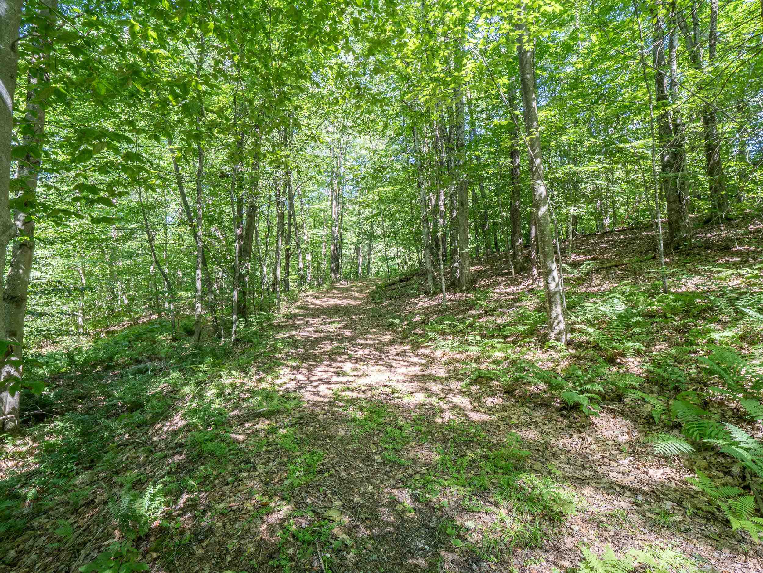 Homes for sale in Middletown Springs, VT | 150 Garron Rd, Middletown Springs, VT 05757 | MLS# 5051332