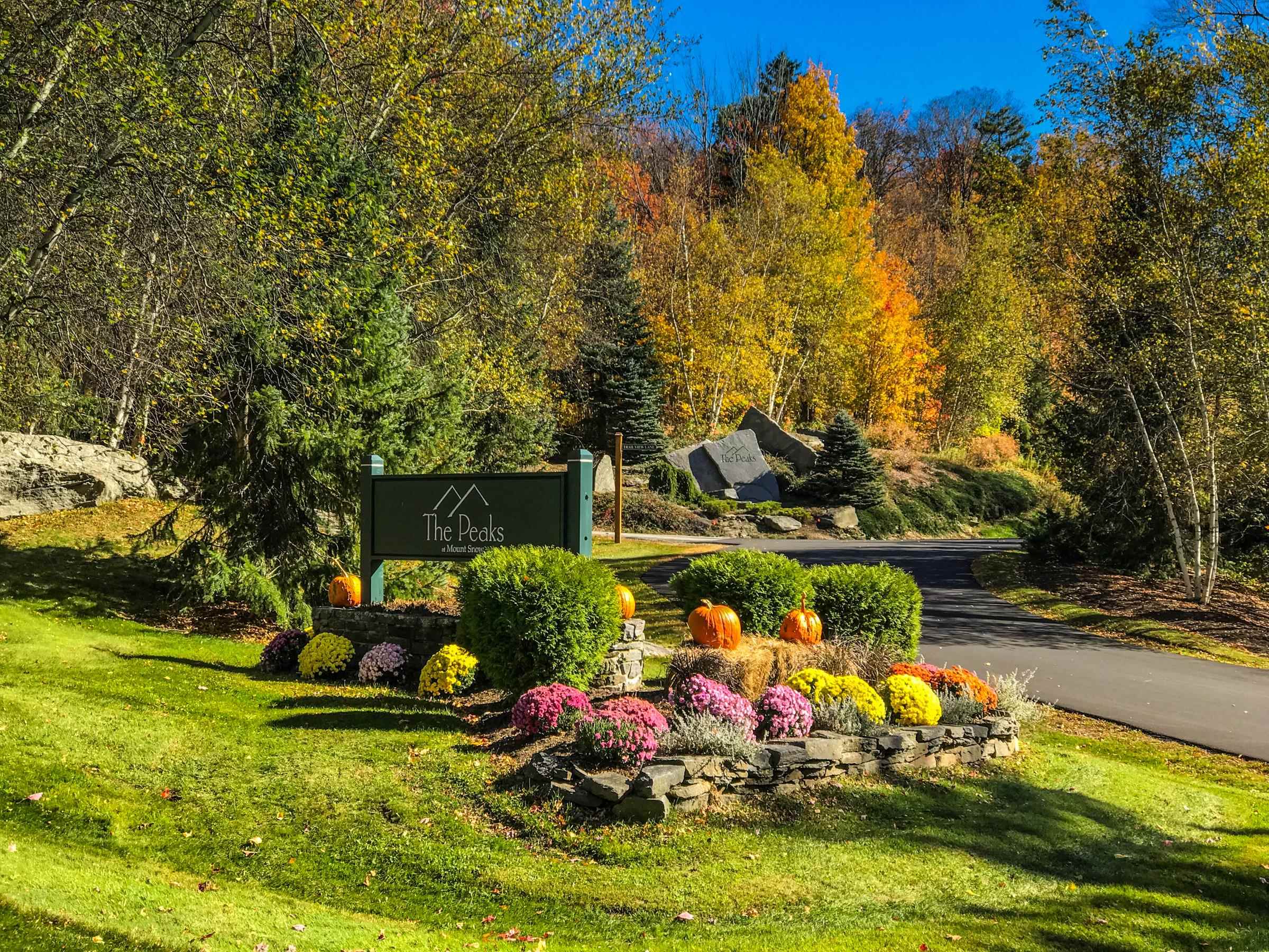 MLS #5051334 image #32