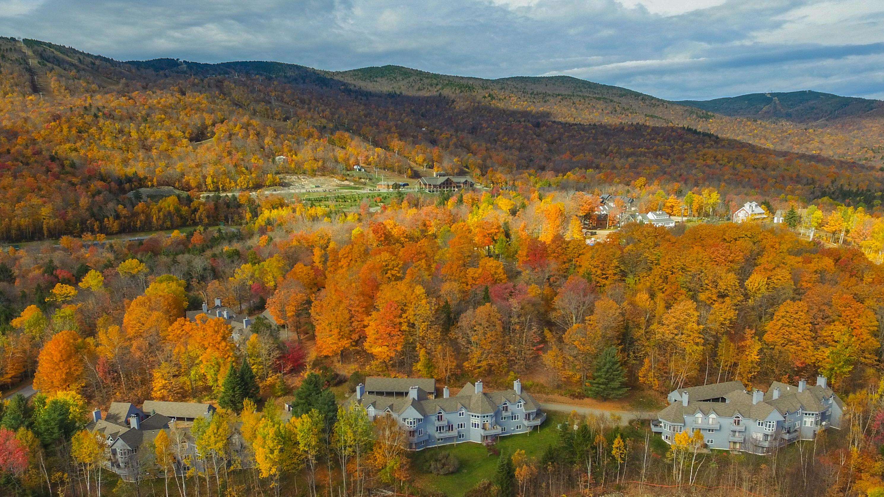 Homes for sale in Wilmington, VT | 15 Haymaker Ln #6D, Wilmington, VT 05363 | MLS# 5051338