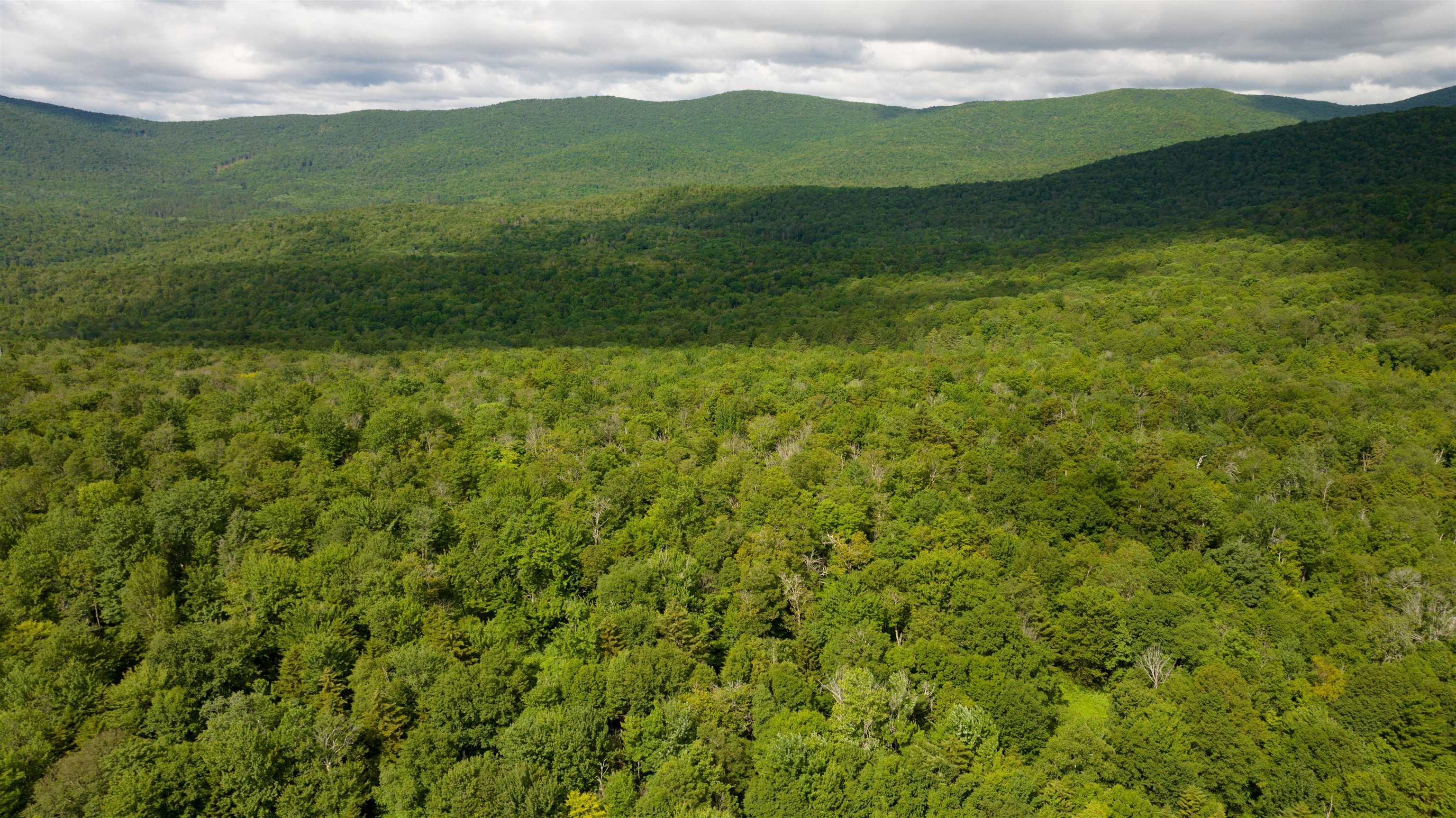 Bethel VT Land for sale $199,000 | 27.1 Acres  | Price Per Acre $0 