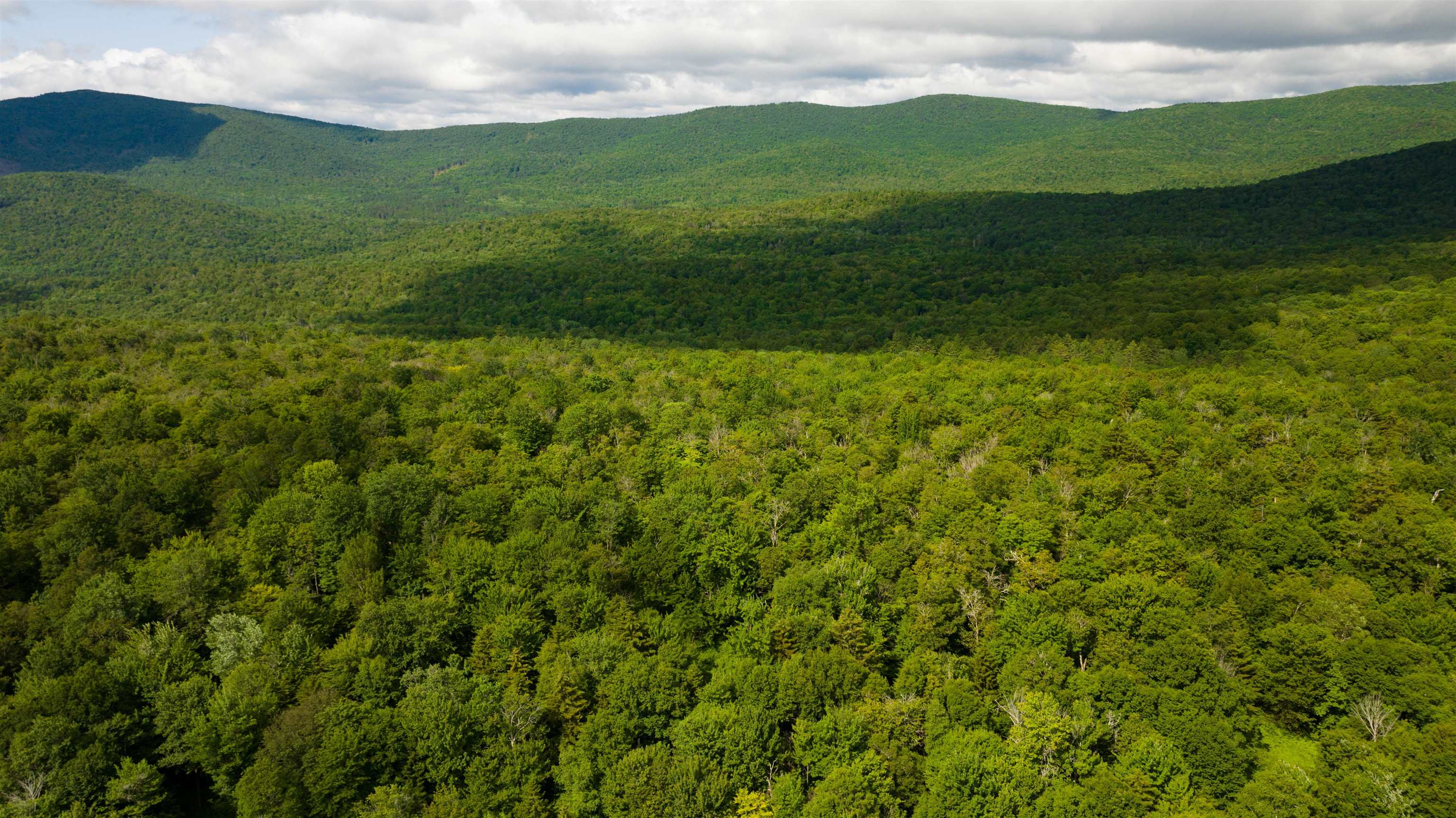 Homes for sale in Bethel, VT | 00 Albin Hl, Bethel, VT 05060 | MLS# 5051370