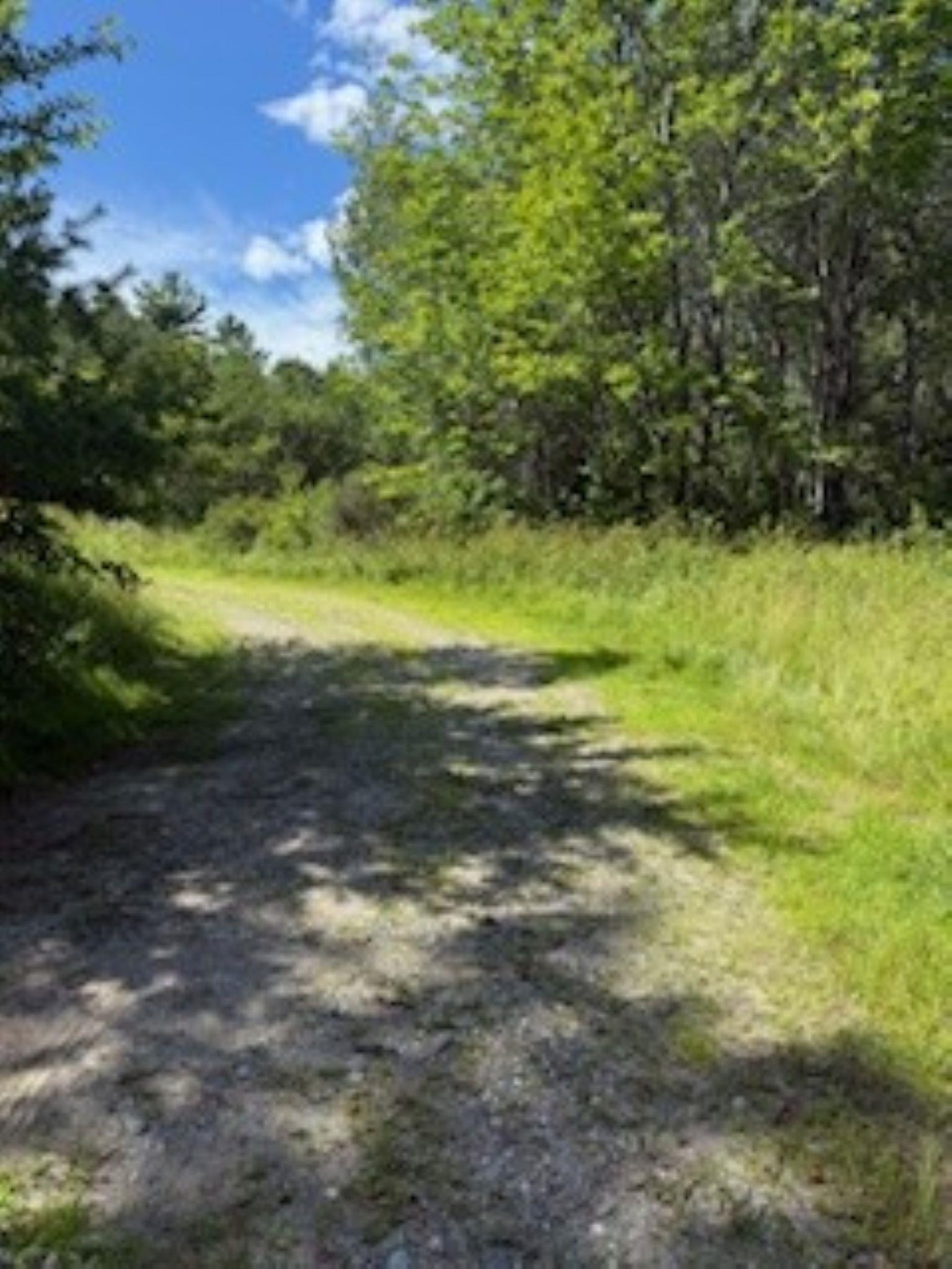 Homes for sale in Sullivan, NH | 101 Gilsum Rd, Sullivan, NH 03445 | MLS# 5051398