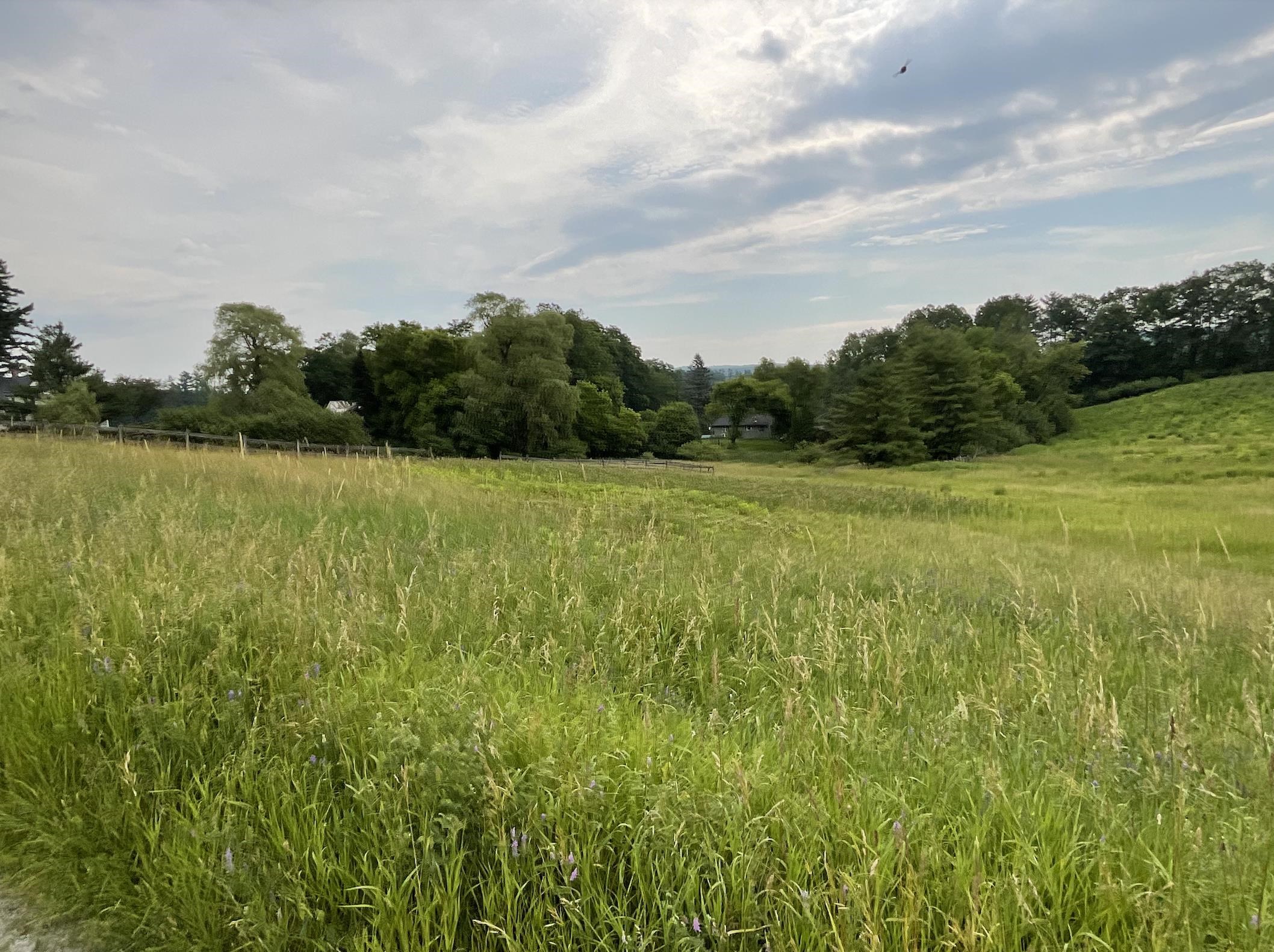 Homes for sale in Norwich, VT | 51 Loveland Rd, Norwich, VT 05055 | MLS# 5051478