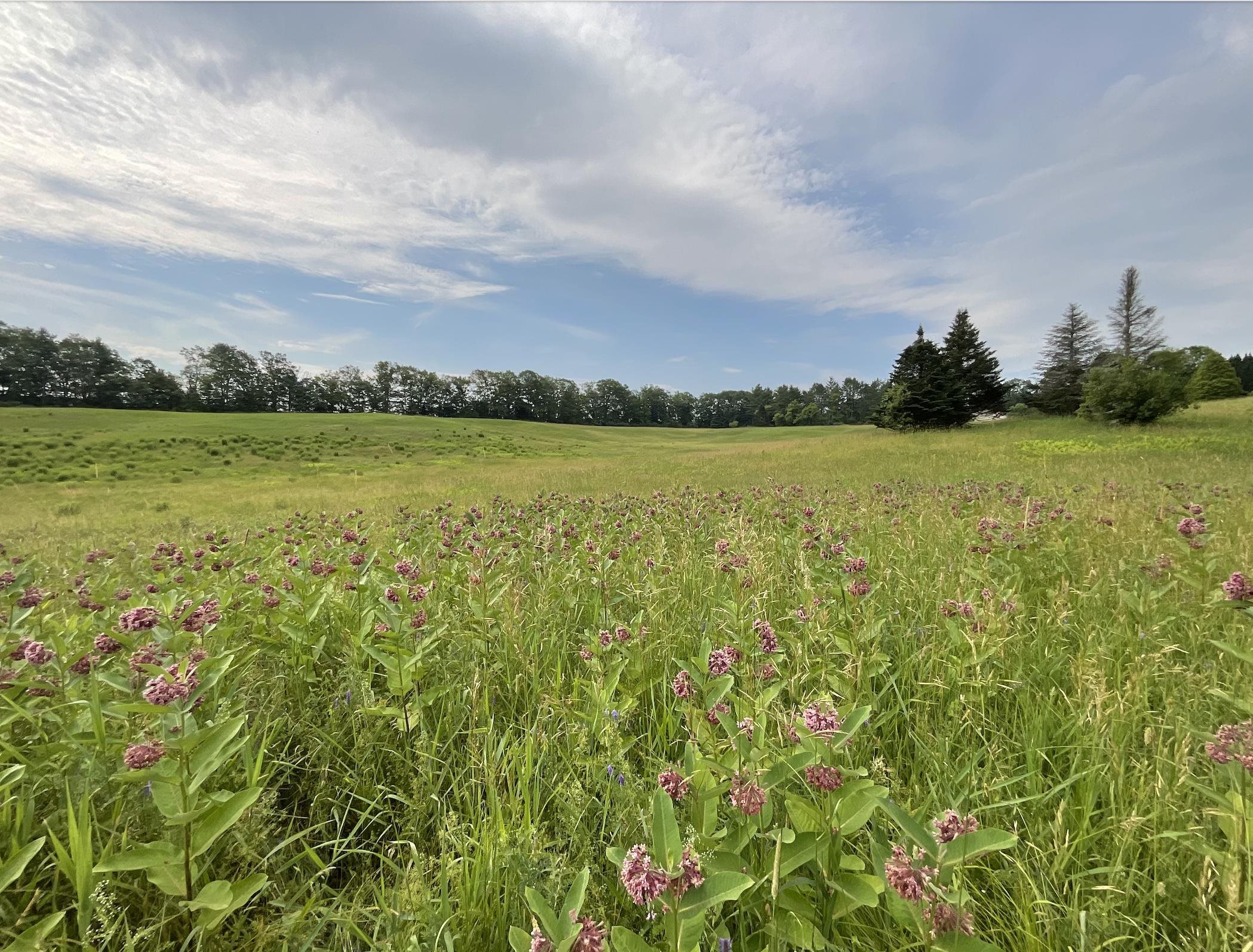 Homes for sale in Norwich, VT | 51 Loveland Rd, Norwich, VT 05055 | MLS# 5051478