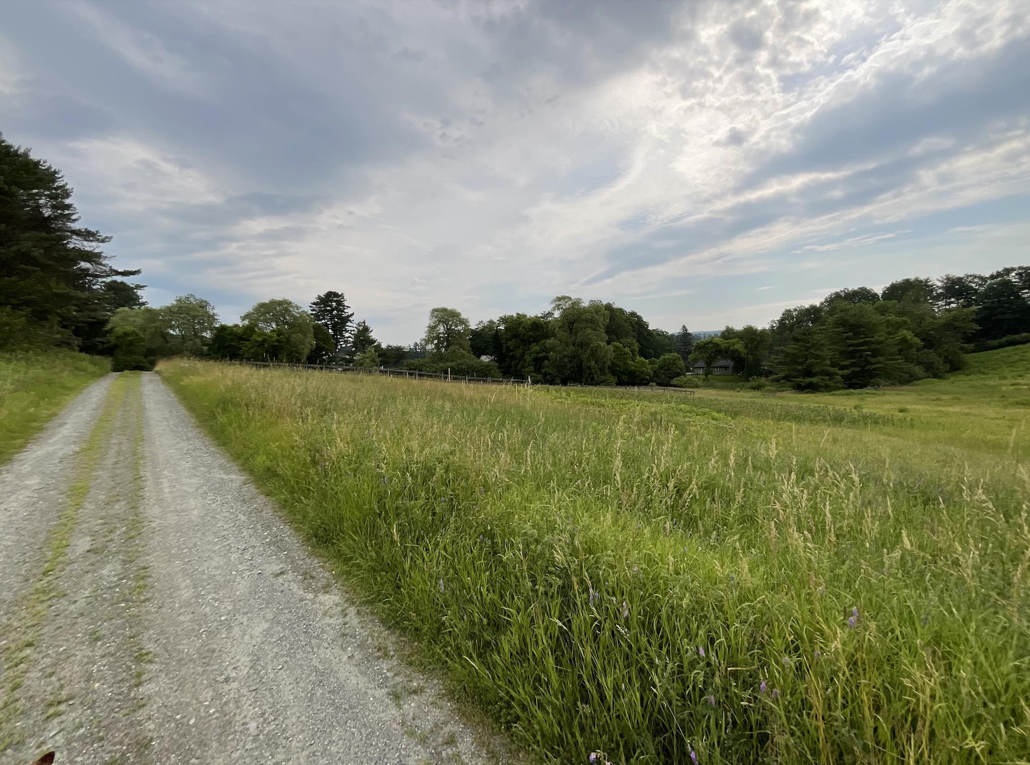 Homes for sale in Norwich, VT | 51 Loveland Rd, Norwich, VT 05055 | MLS# 5051478