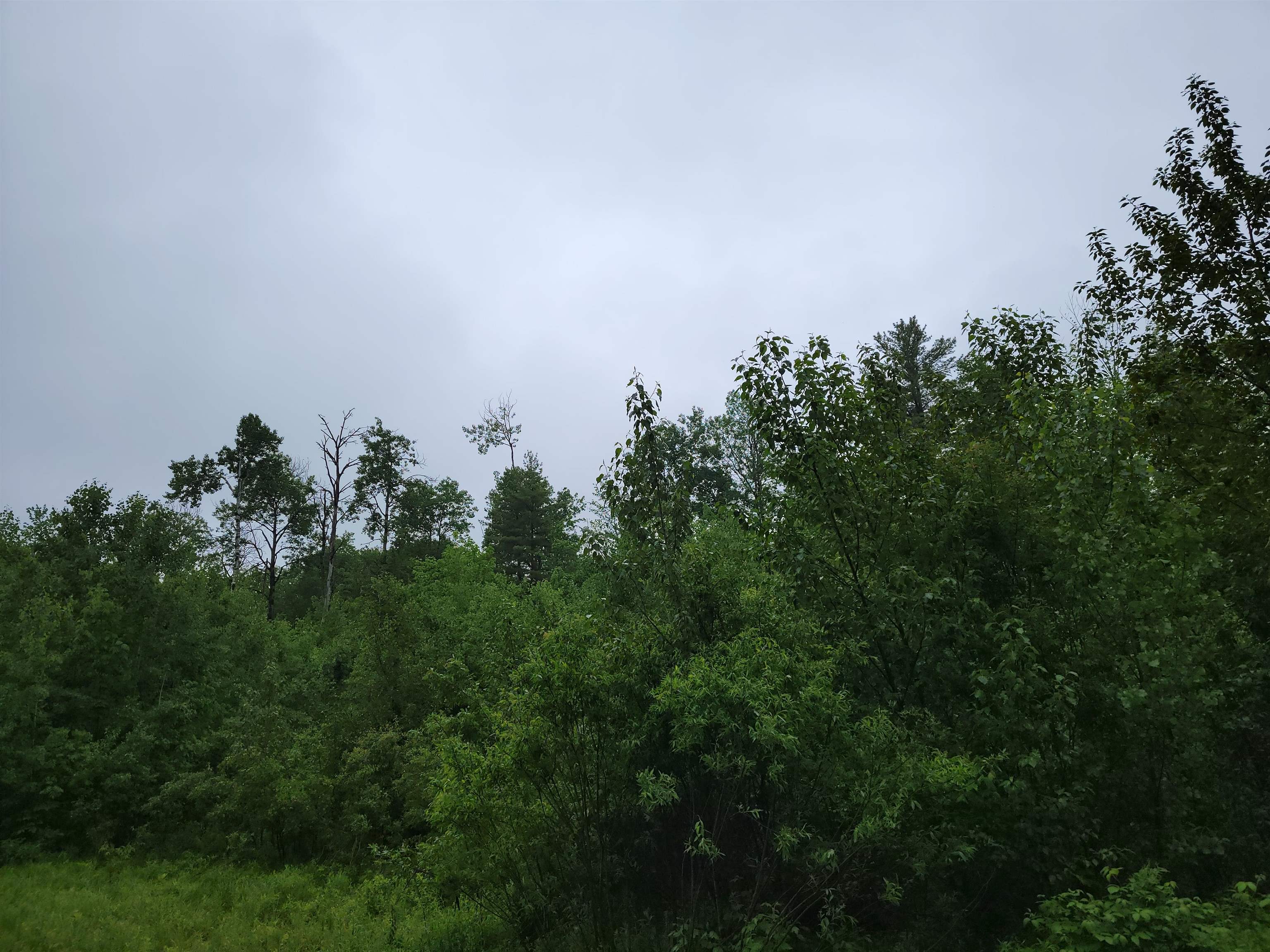 Homes for sale in Bethlehem, NH | 105 Alpenhof Rd, Bethlehem, NH 03574 | MLS# 5051491