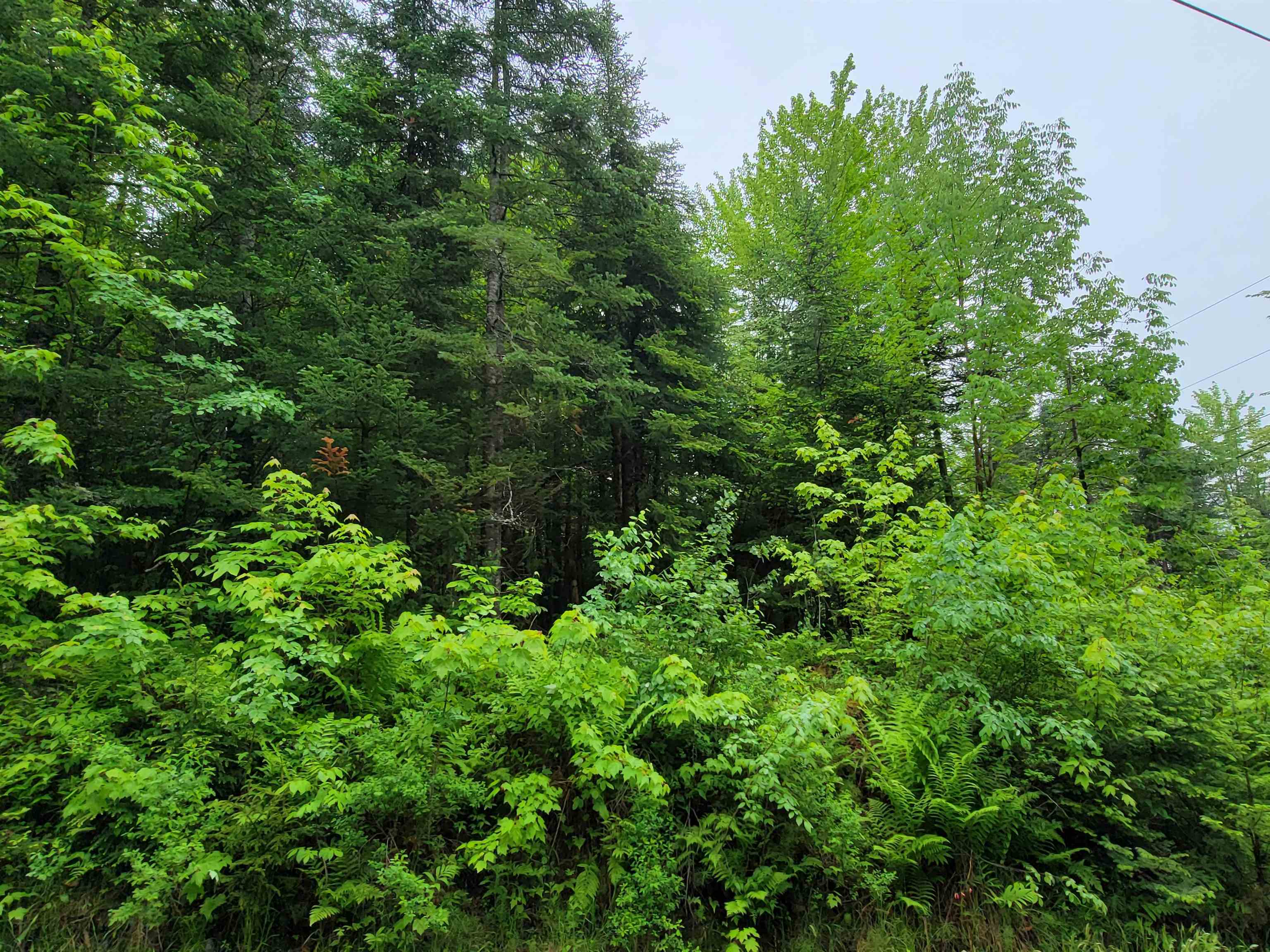 Homes for sale in Bethlehem, NH | 105 Alpenhof Rd, Bethlehem, NH 03574 | MLS# 5051491