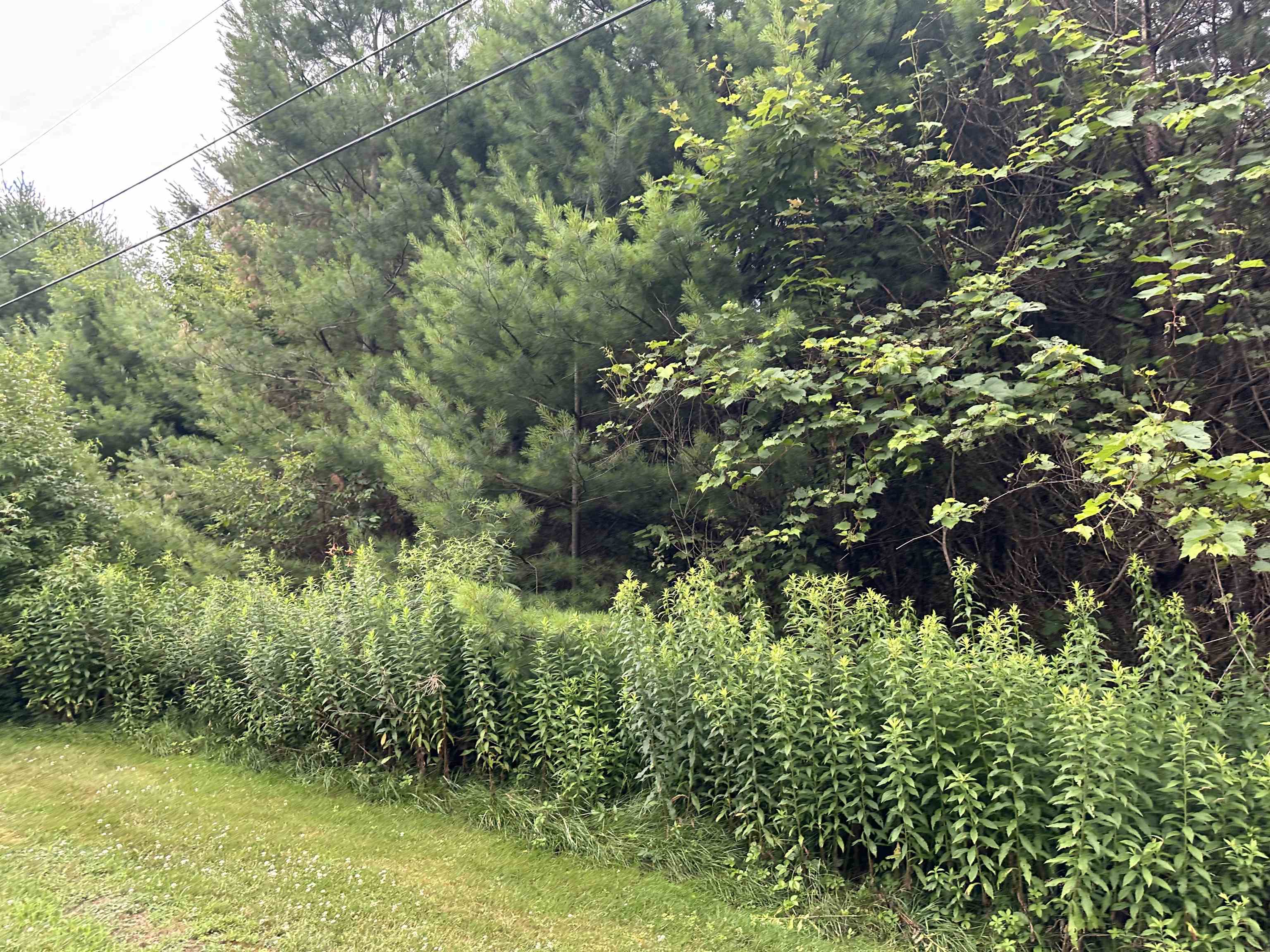 Homes for sale in Brandon, VT | 9 Rydon Acres, Brandon, VT 05753 | MLS# 5051516