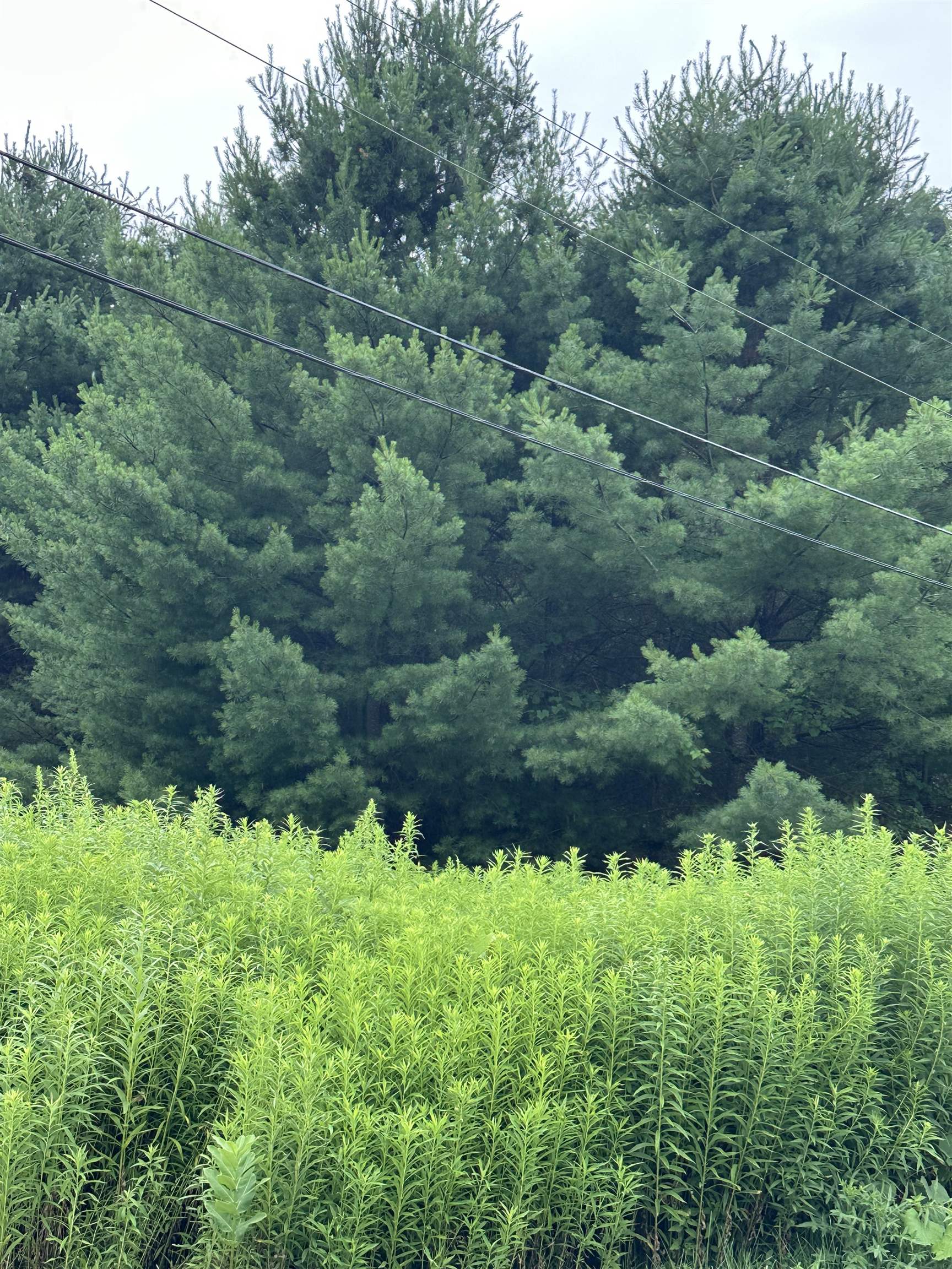 Homes for sale in Brandon, VT | 9 Rydon Acres, Brandon, VT 05753 | MLS# 5051516