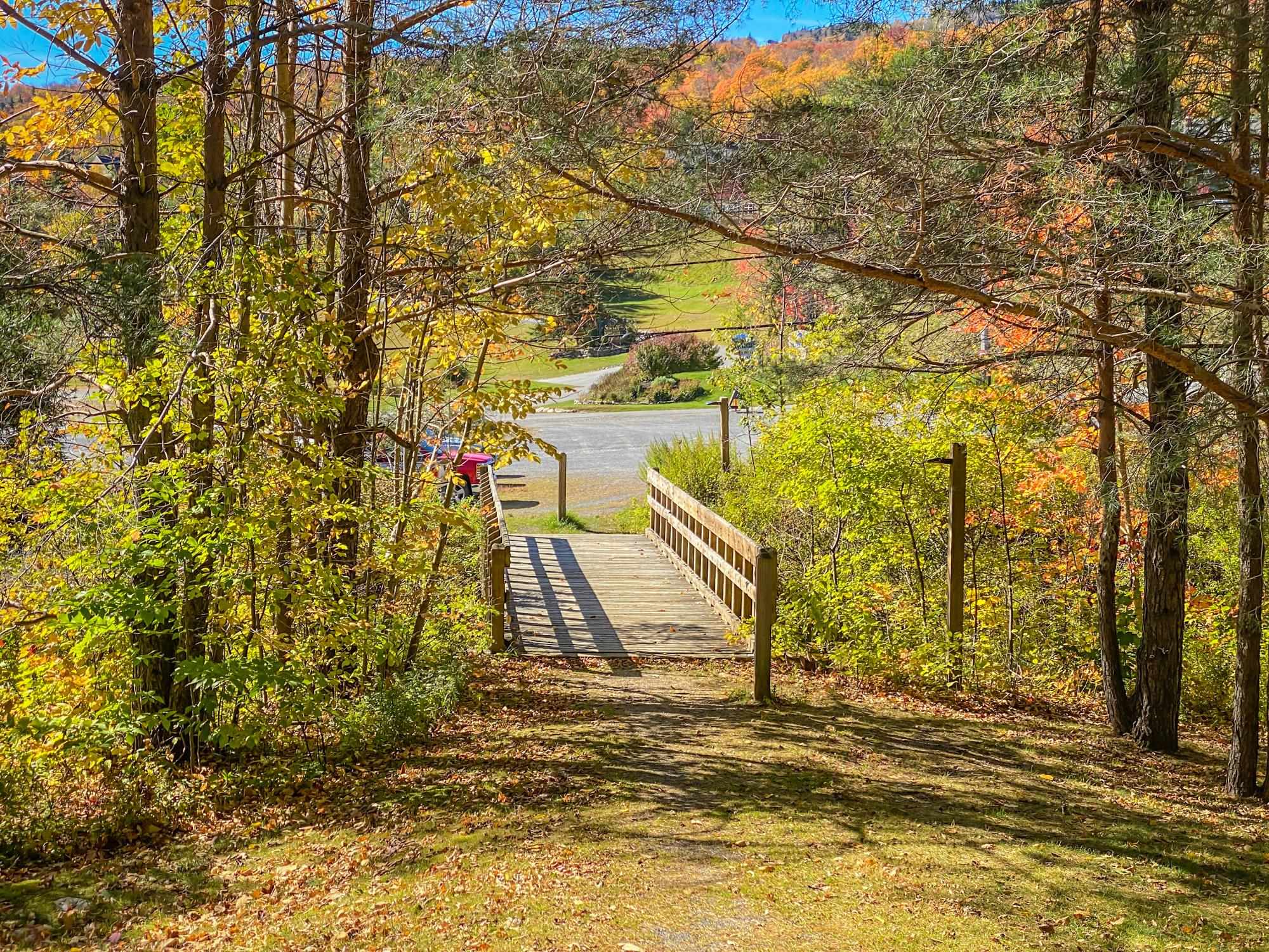 Homes for sale in Dover, VT | 32b Snow Tree Ln #Oaks B, Dover, VT 05356 | MLS# 5051836