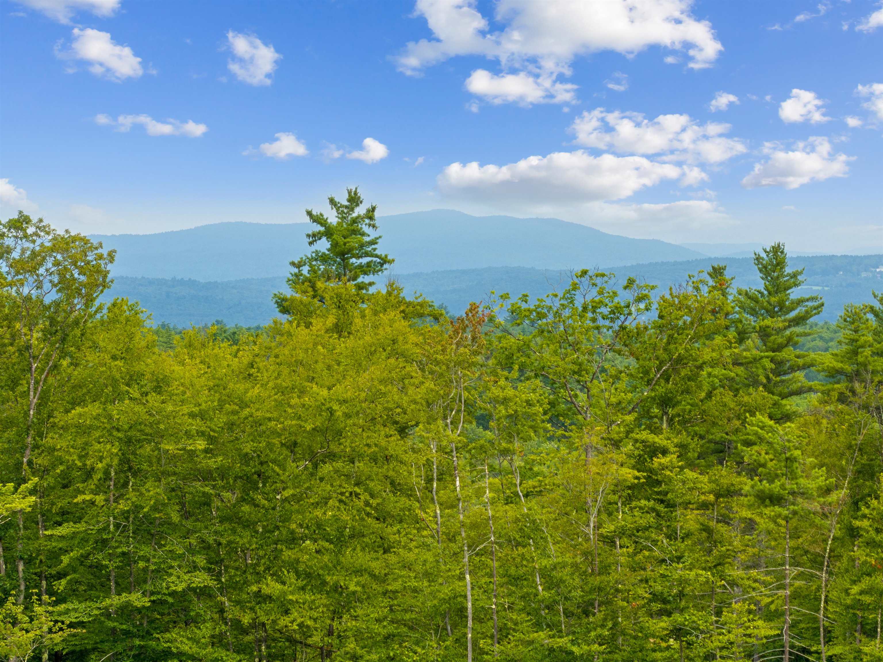 MLS #5051906 image #11