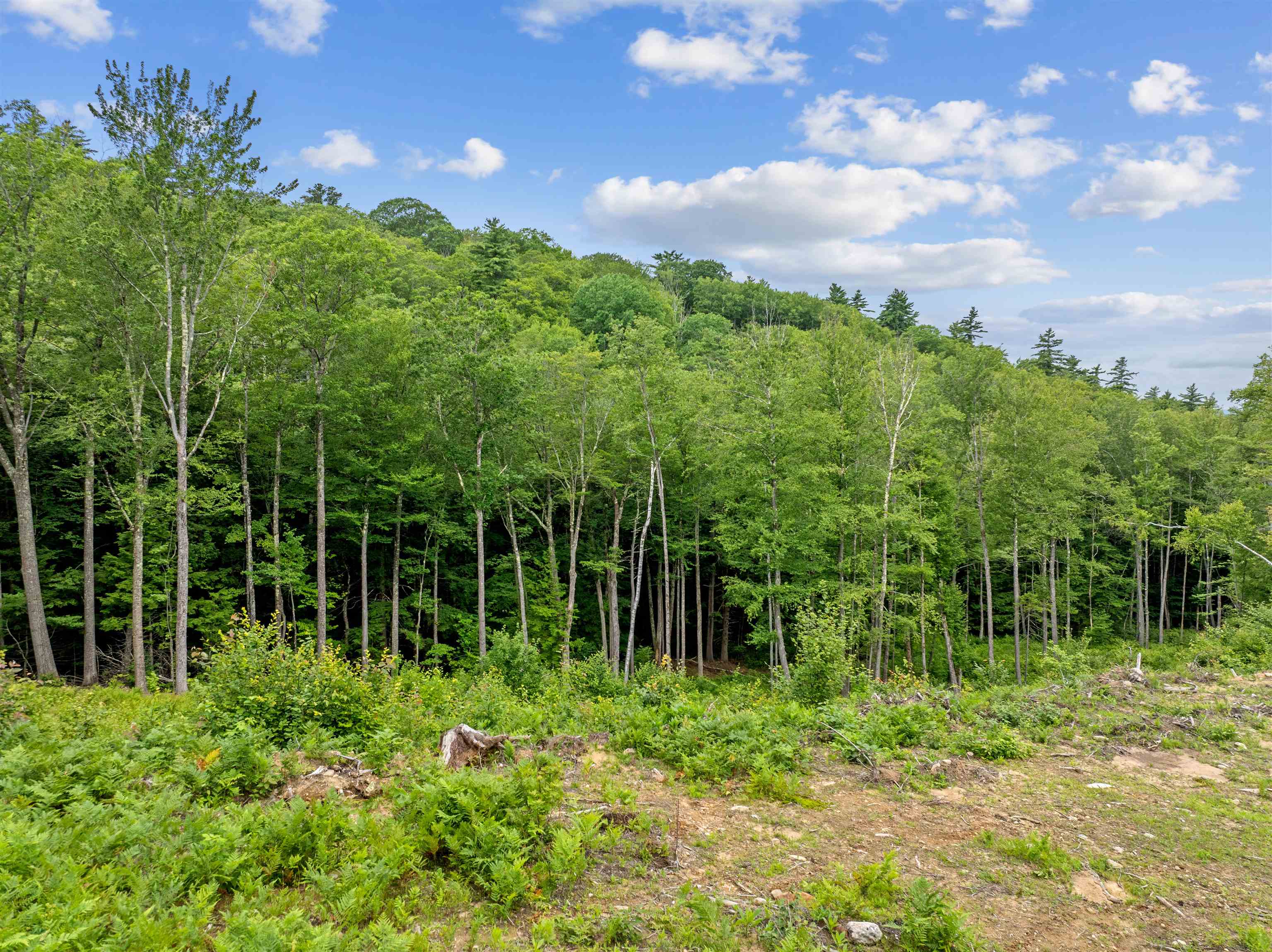 MLS #5051906 image #15