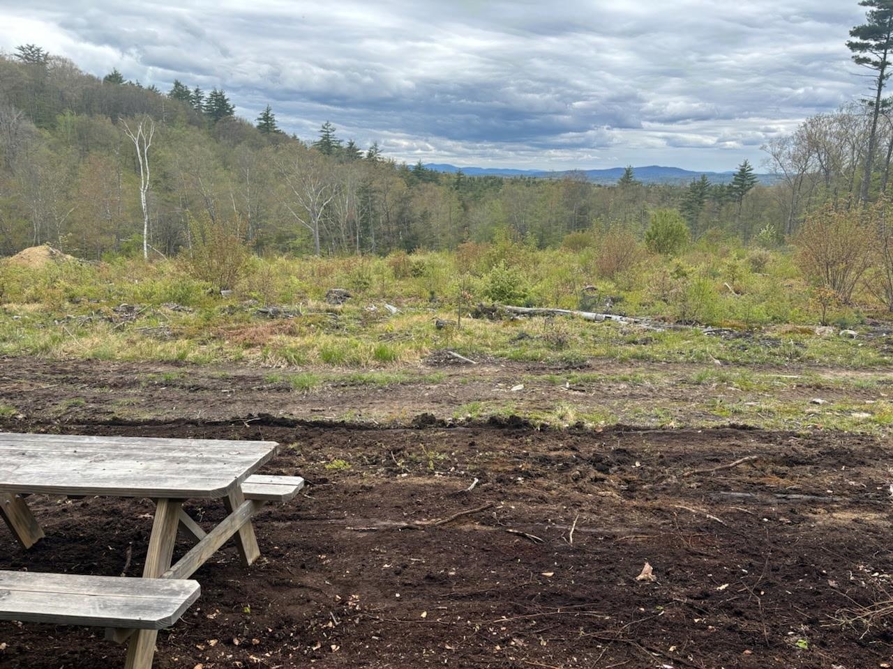 MLS #5051906 image #24