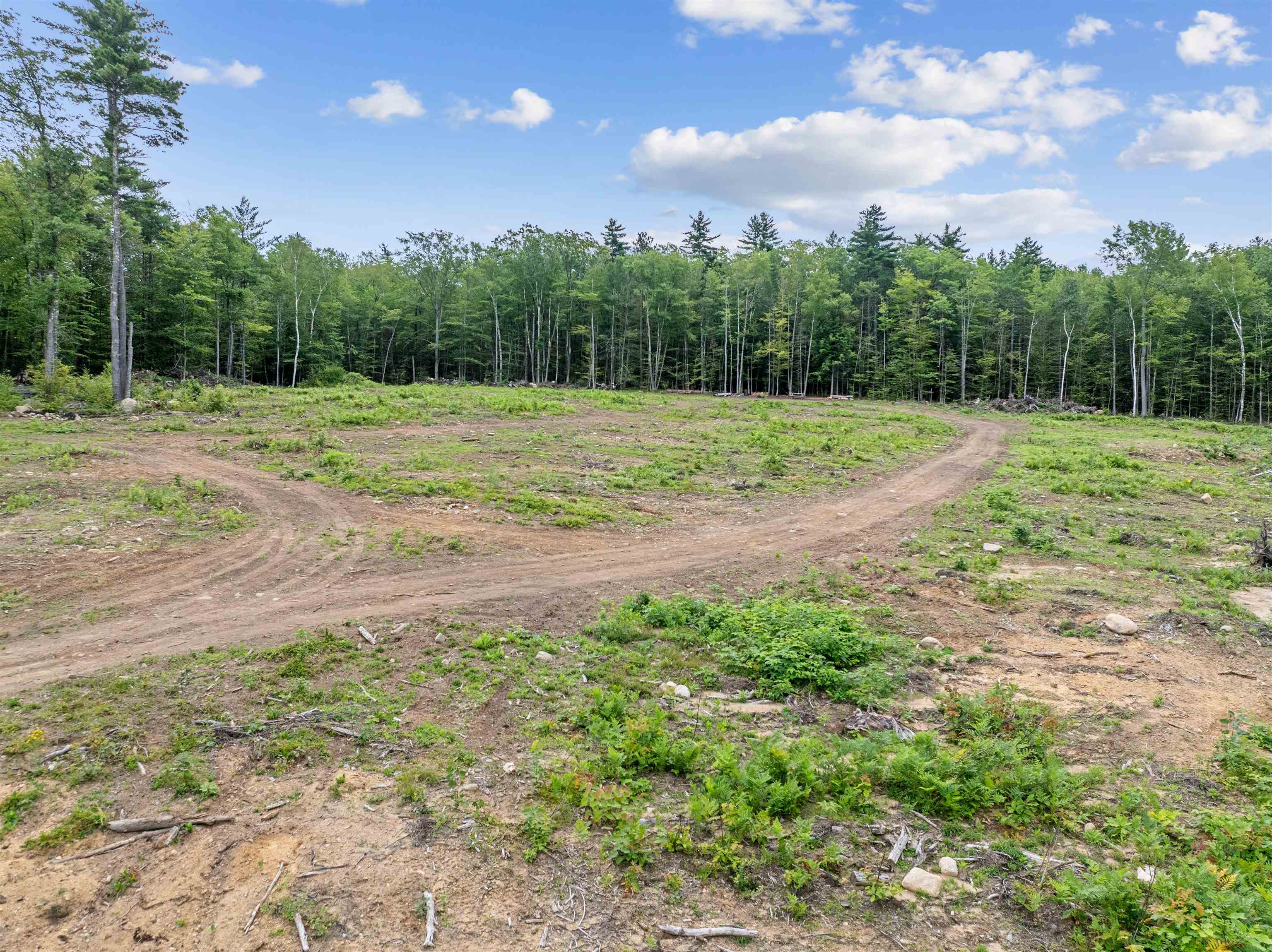 MLS #5051906 image #6