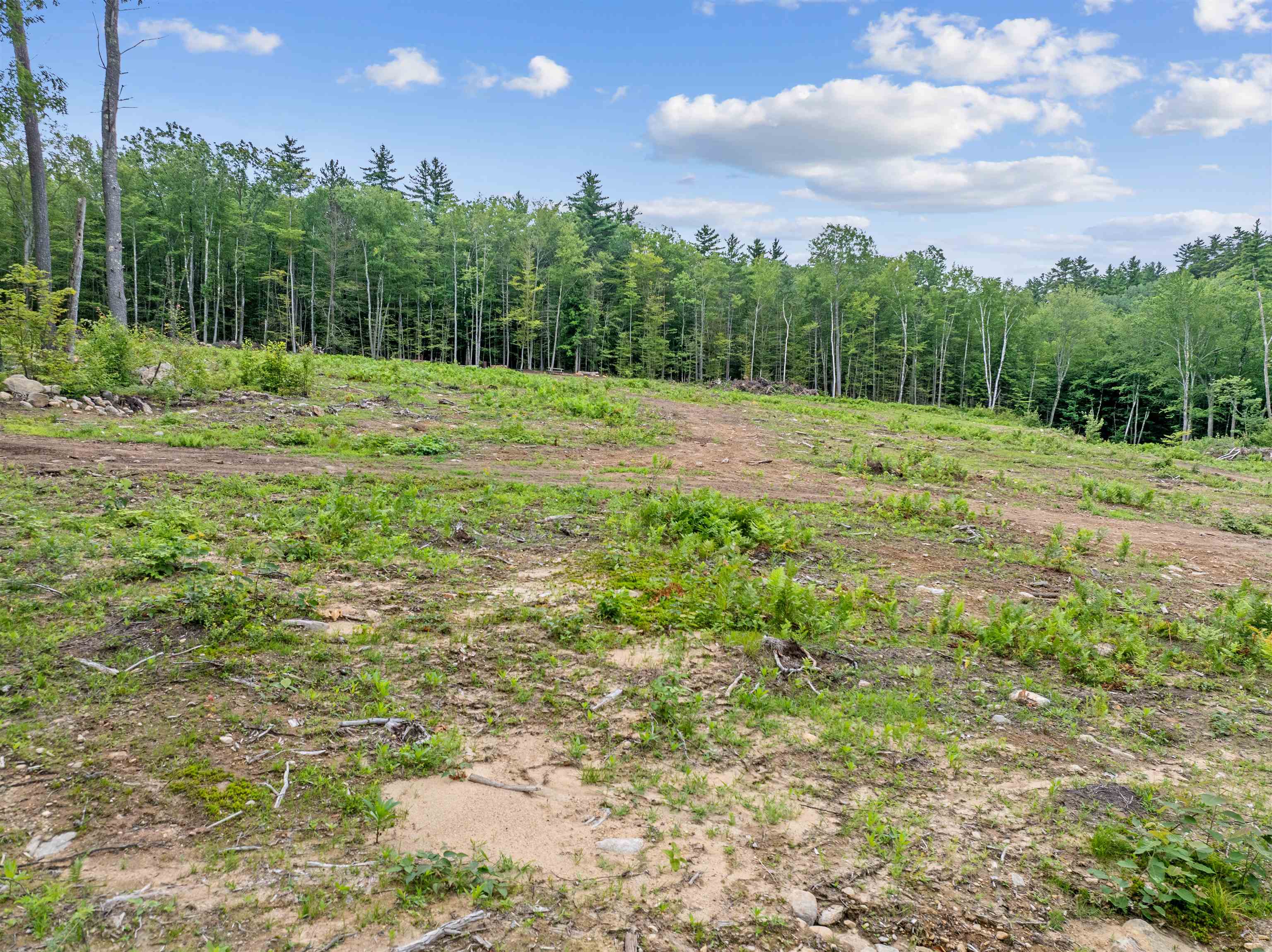 MLS #5051906 image #7