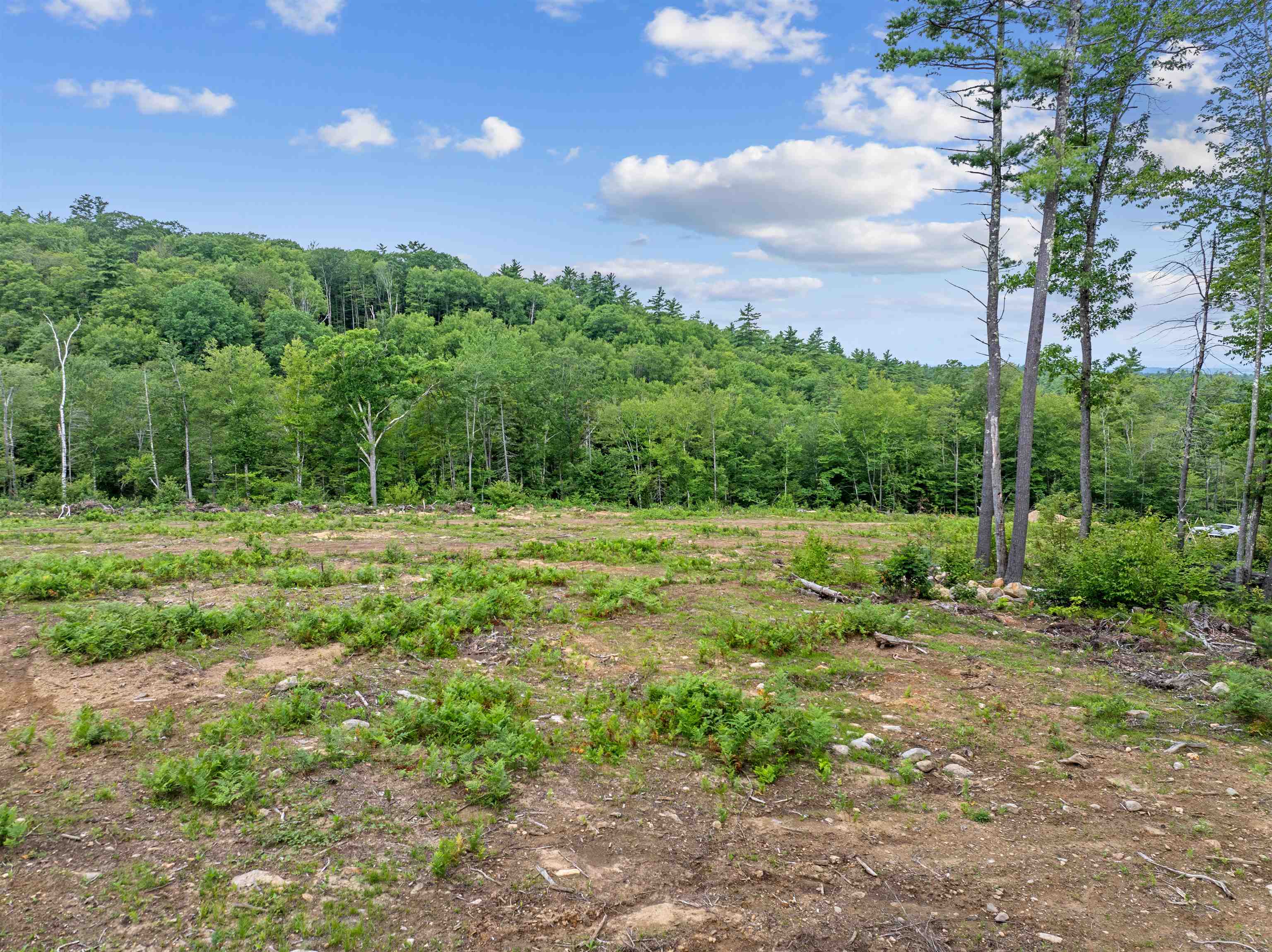 MLS #5051906 image #8