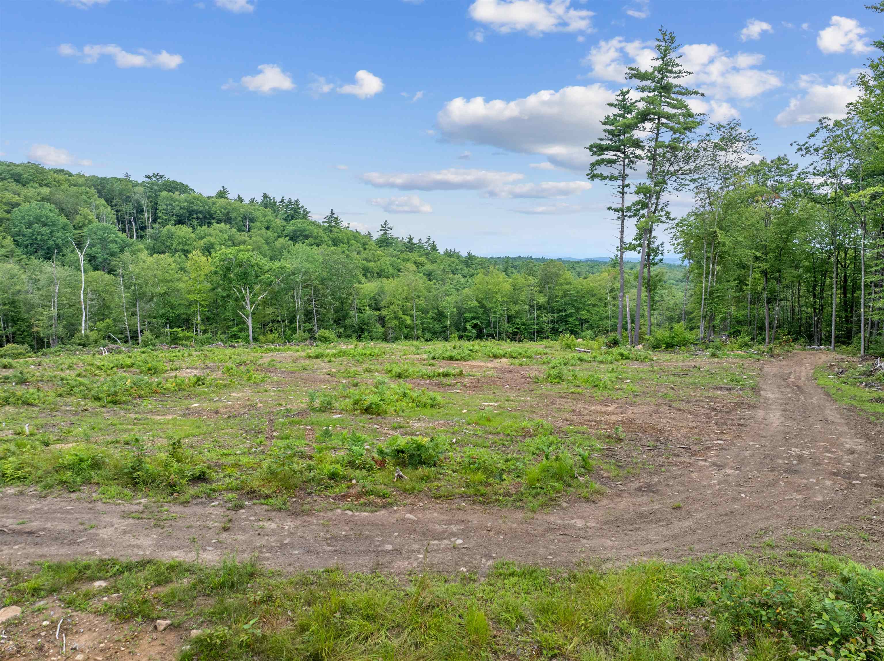 MLS #5051906 image #9