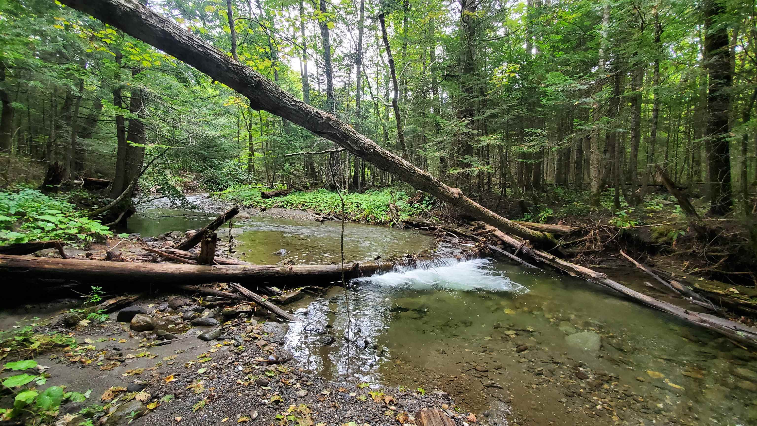 Homes for sale in Chelsea, VT | 00 Brook Rd, Chelsea, VT 05038 | MLS# 5051948