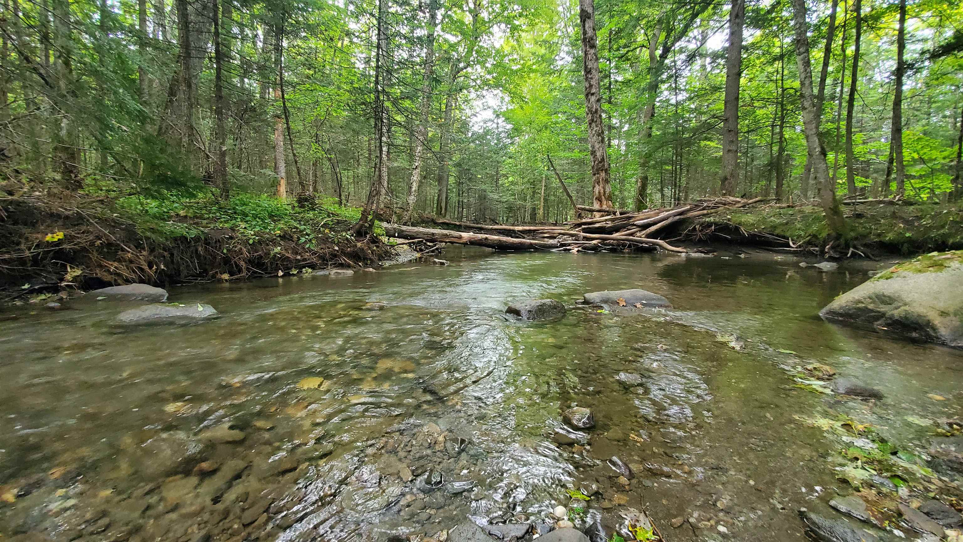 Homes for sale in Chelsea, VT | 00 Brook Rd, Chelsea, VT 05038 | MLS# 5051948