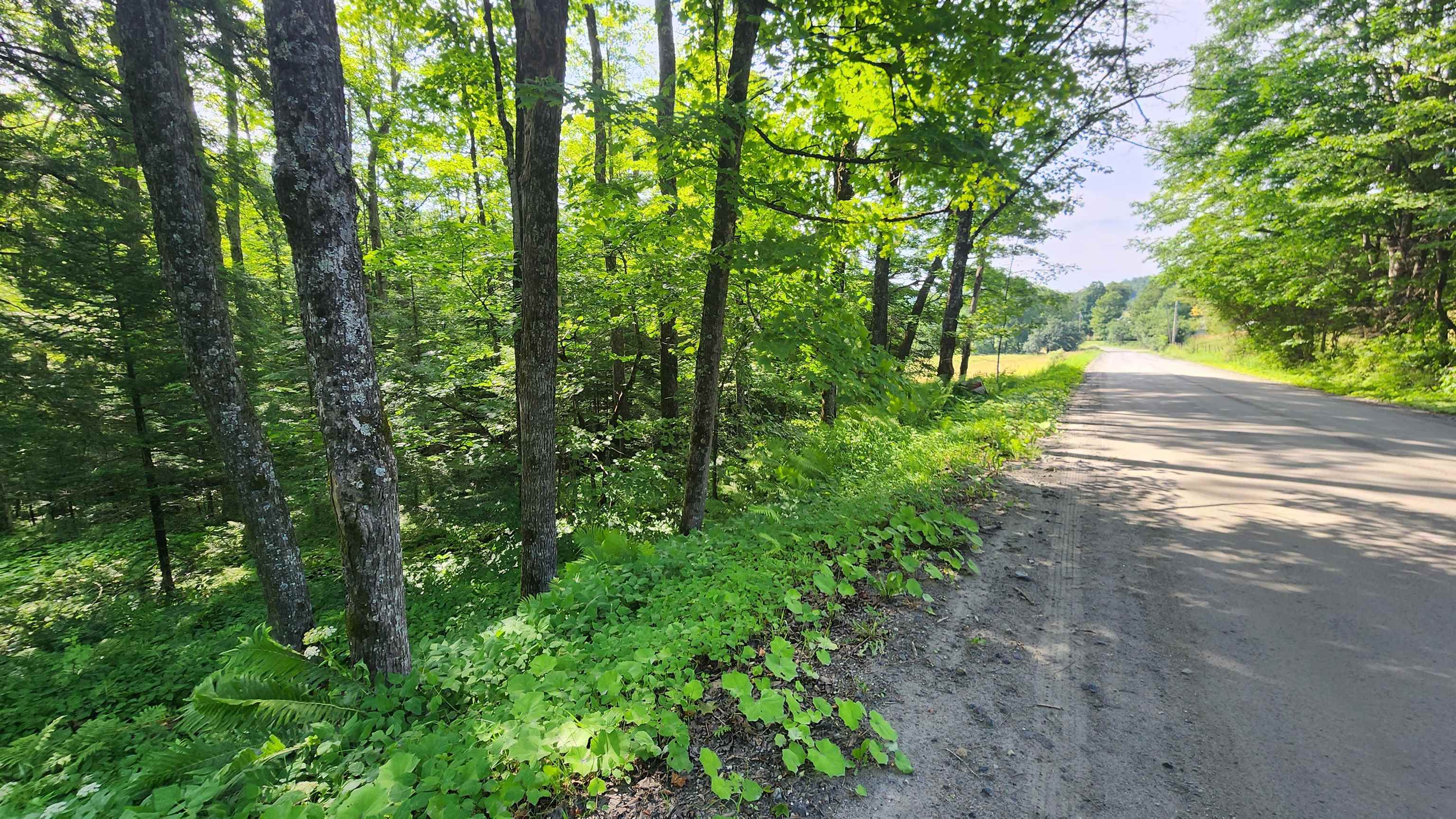 Homes for sale in Chelsea, VT | 00 Brook Rd, Chelsea, VT 05038 | MLS# 5051948