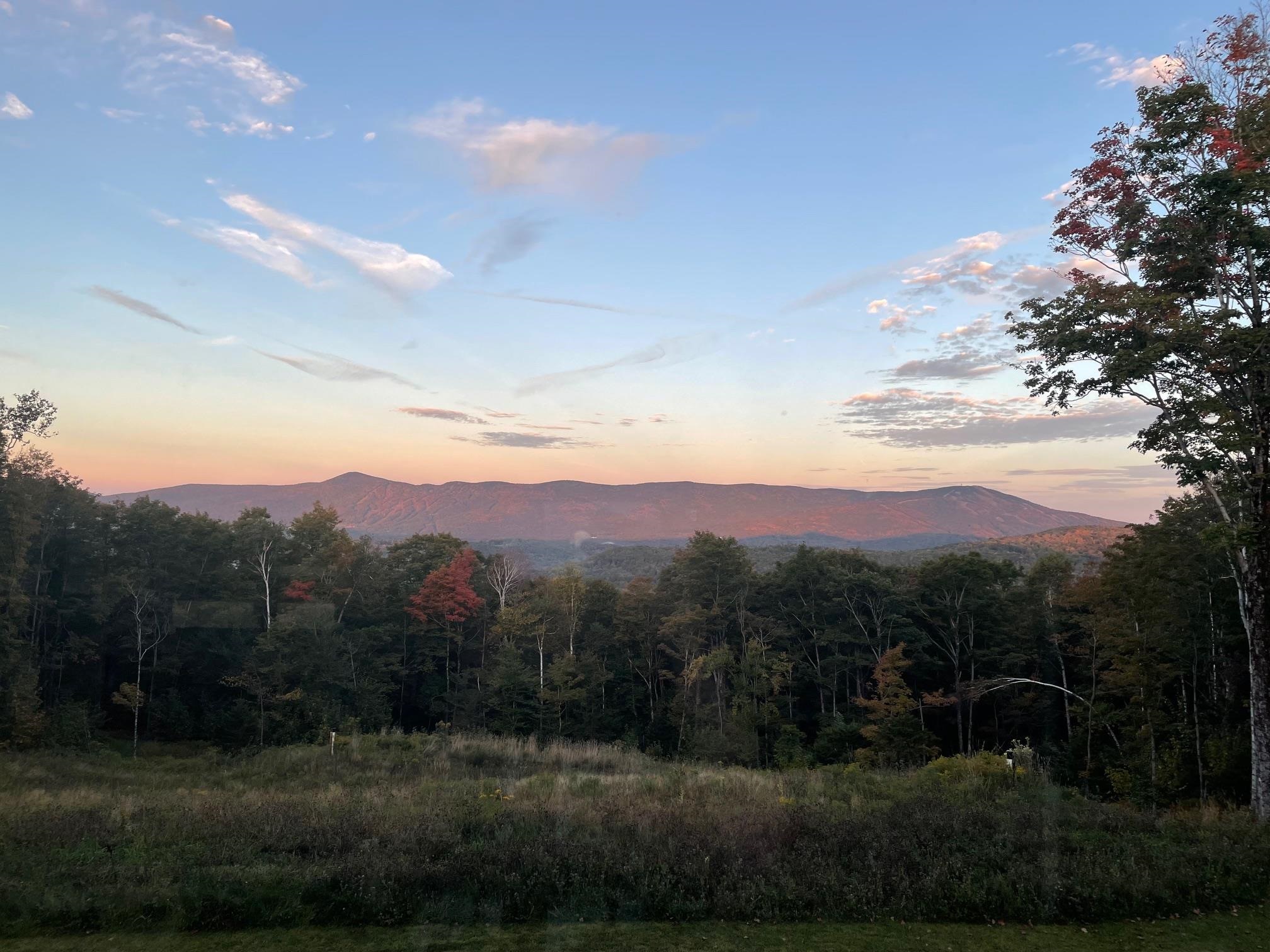 MLS #5051951 image #58