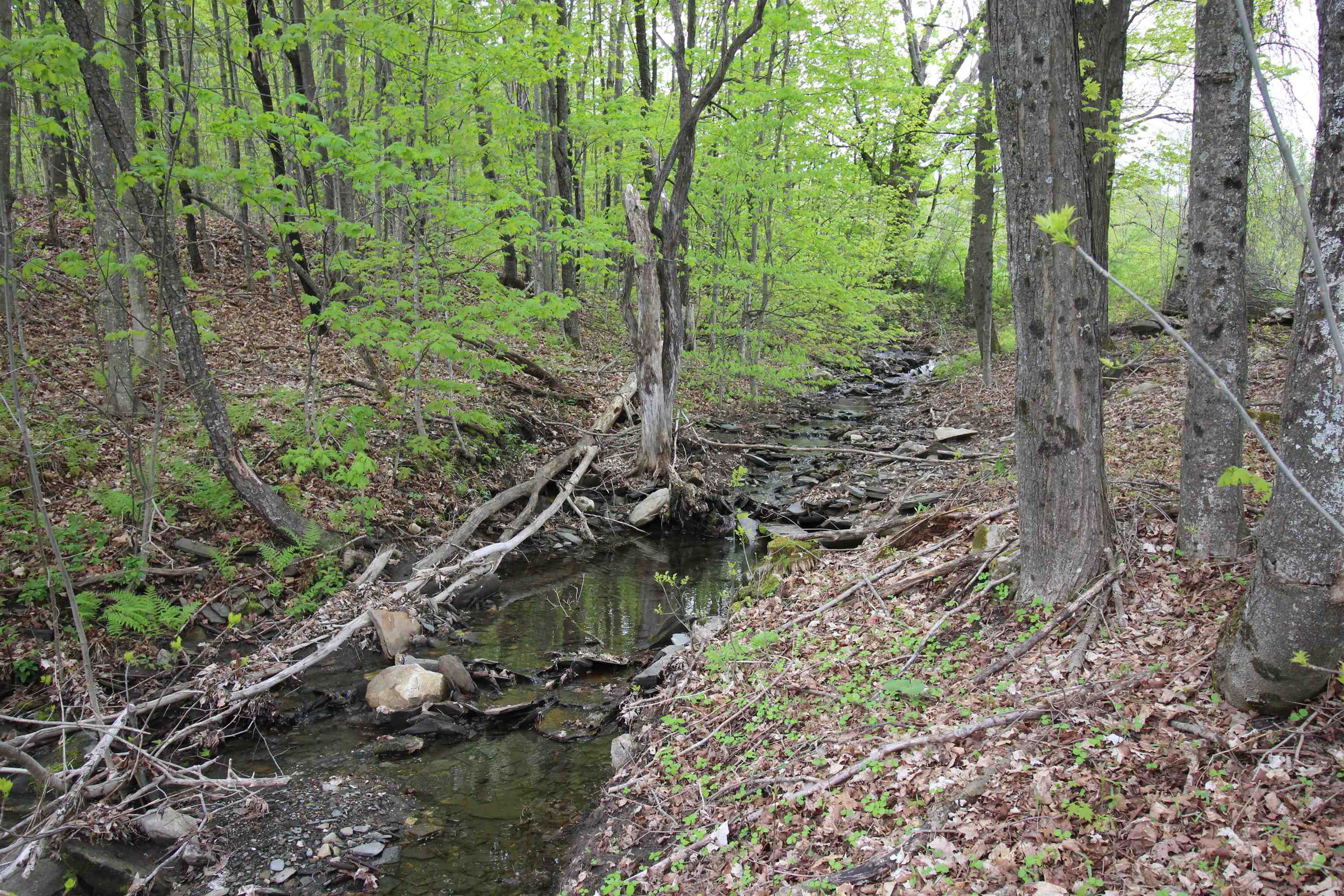 Homes for sale in Williamstown, VT | 3091 Baptist St, Williamstown, VT 05679 | MLS# 5052049