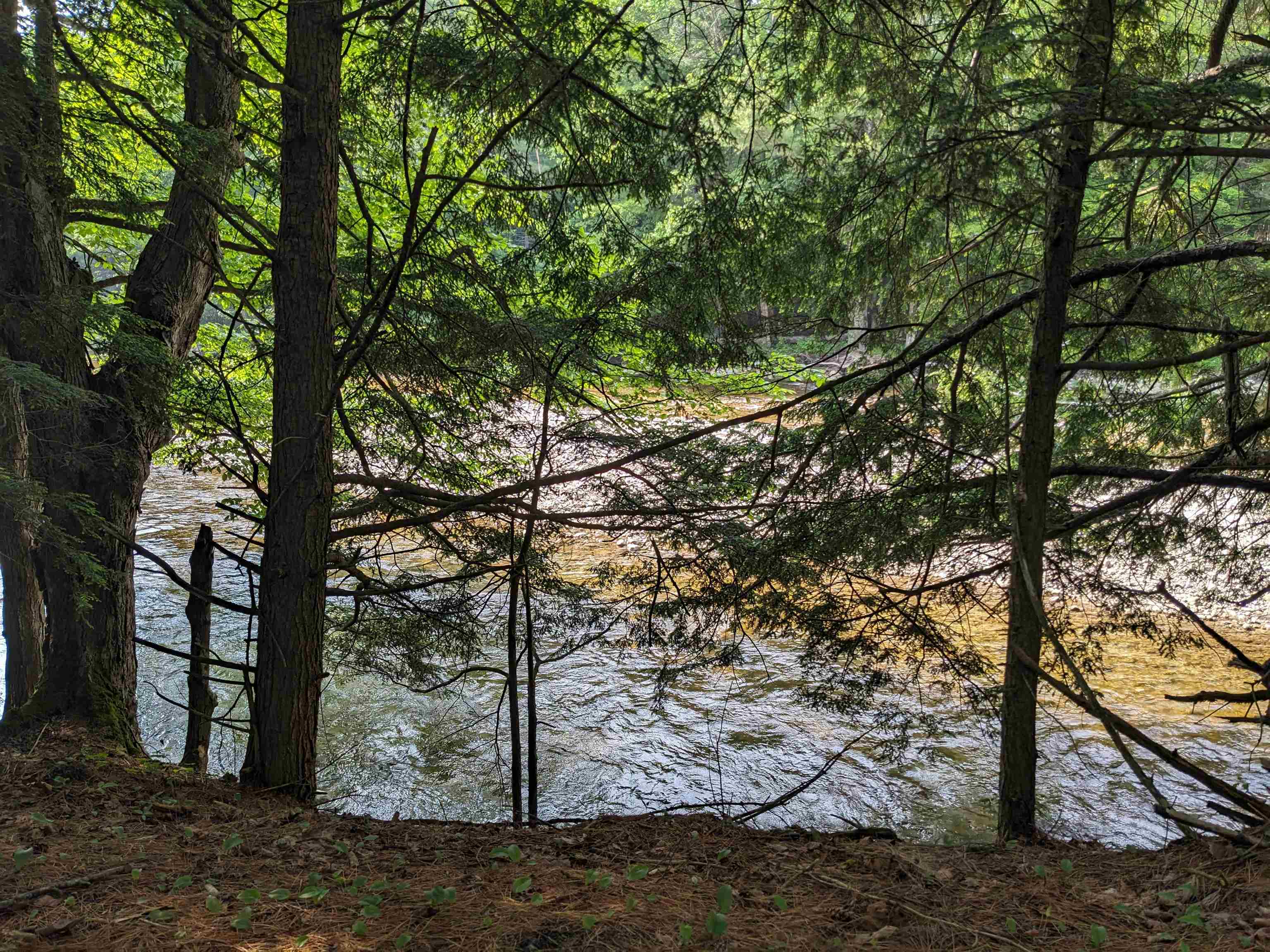 Homes for sale in Clarendon, VT | 00 East St, Clarendon, VT 05759 | MLS# 5052113