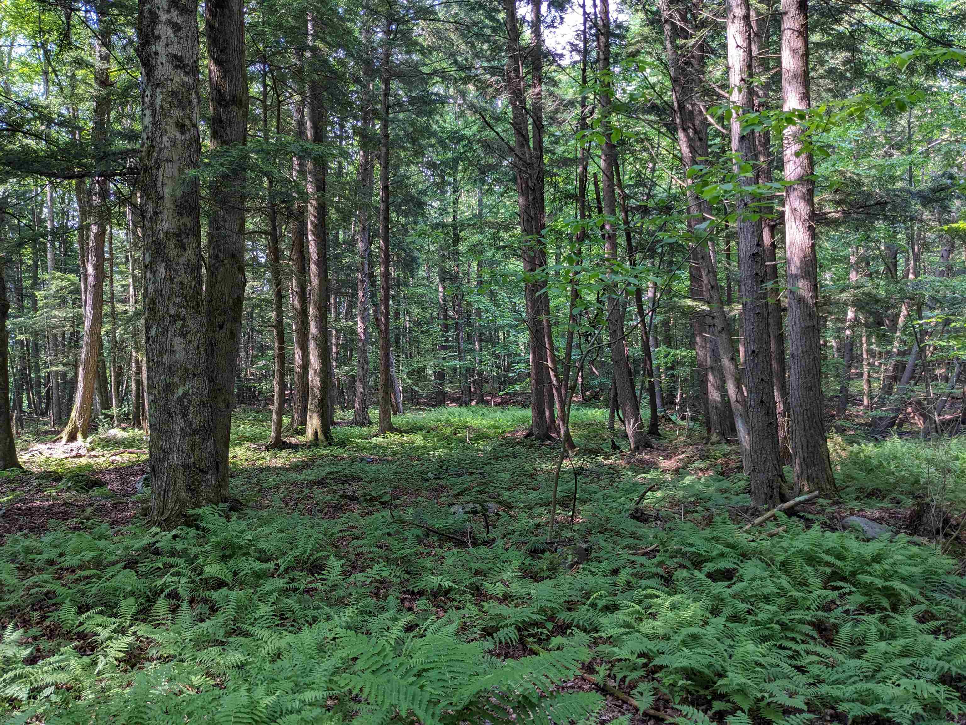 Homes for sale in Clarendon, VT | 00 East St, Clarendon, VT 05759 | MLS# 5052113