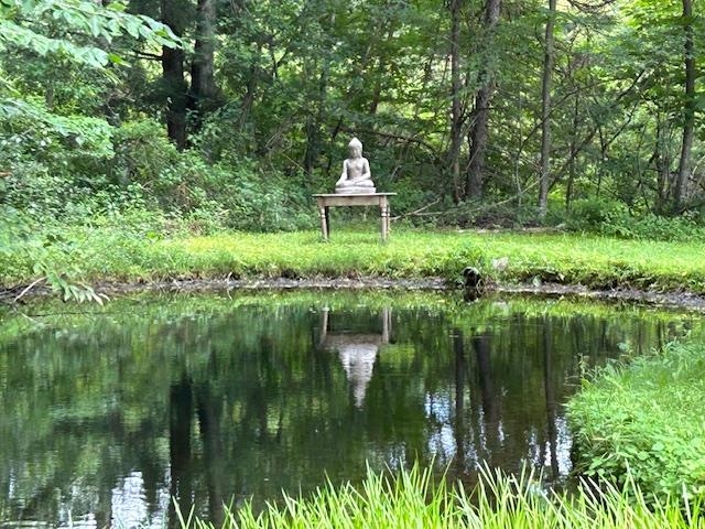 Homes for sale in Newfane, VT | 85 Browns Rd, Newfane, VT 05345 | MLS# 5052160