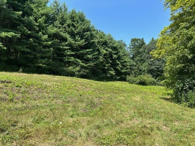 Homes for sale in Newfane, VT | 85 Browns Rd, Newfane, VT 05345 | MLS# 5052160