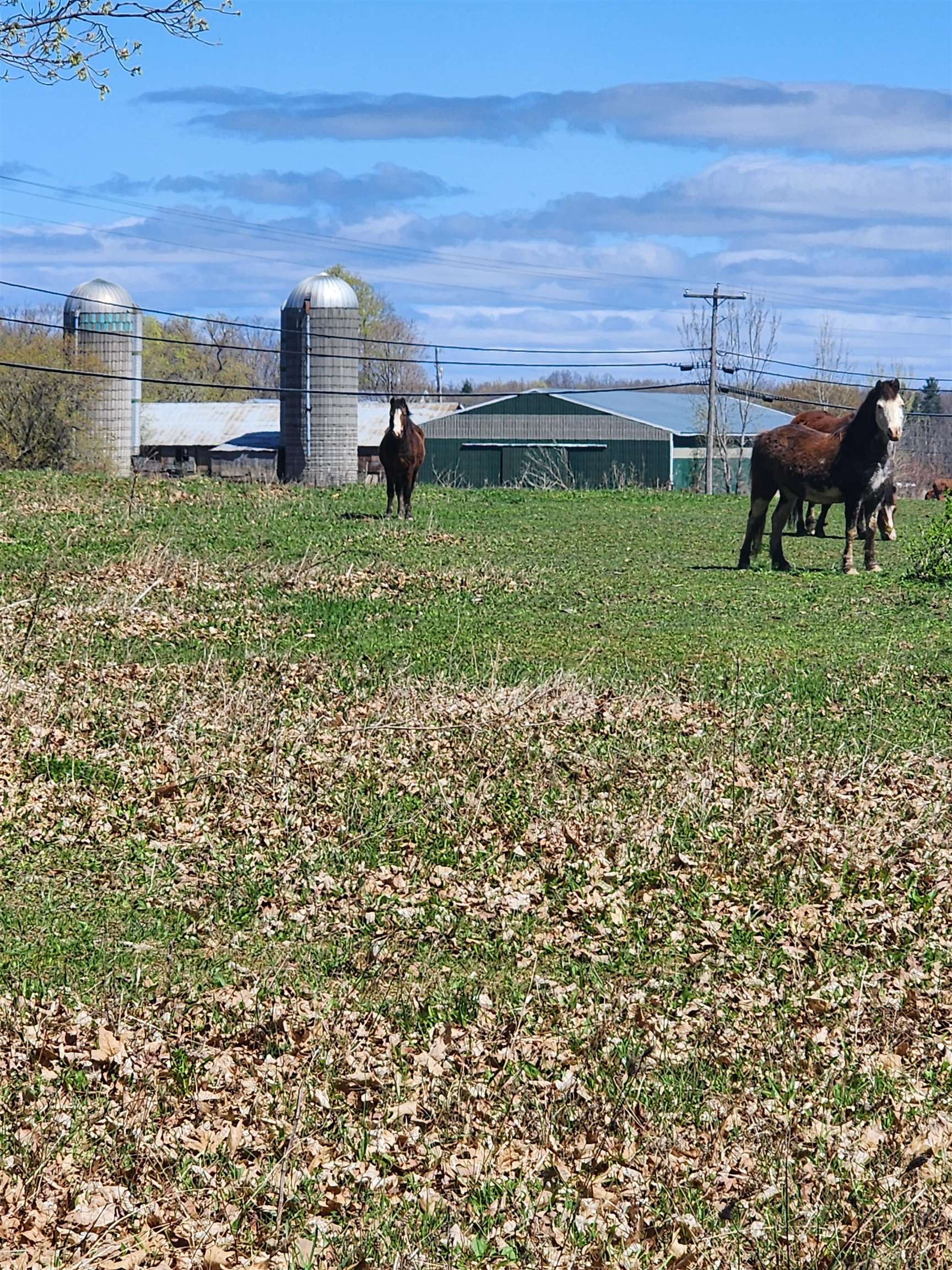 Homes for sale in Grand Isle, VT | 16 Us Route 2 Hwy, Grand Isle, VT 05458 | MLS# 5052178