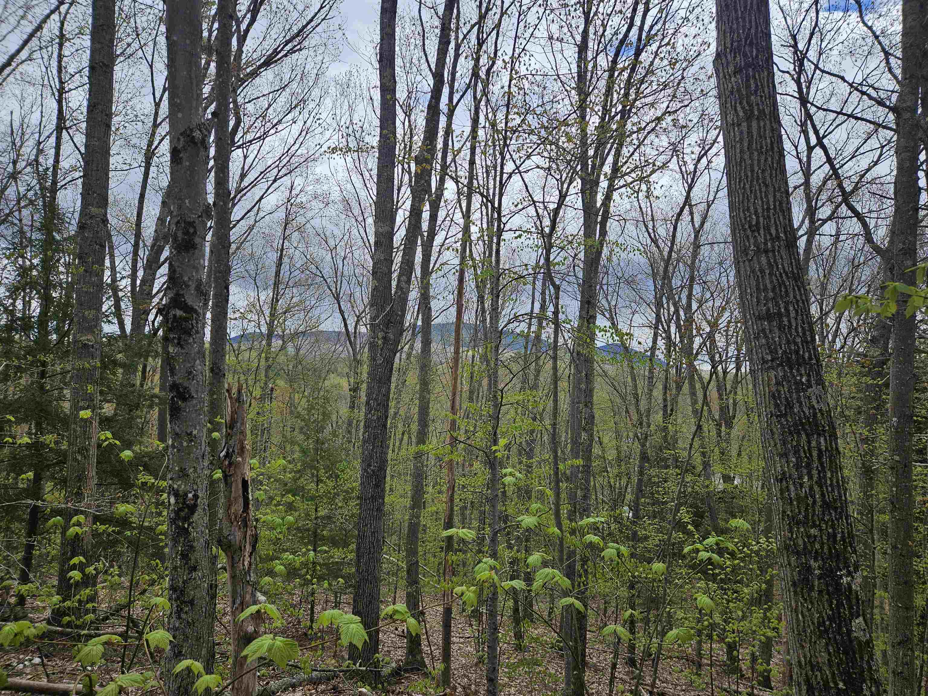 Homes for sale in Haverhill, NH | Lot 123 Paulsen Cir, Haverhill, NH 03765 | MLS# 5052214