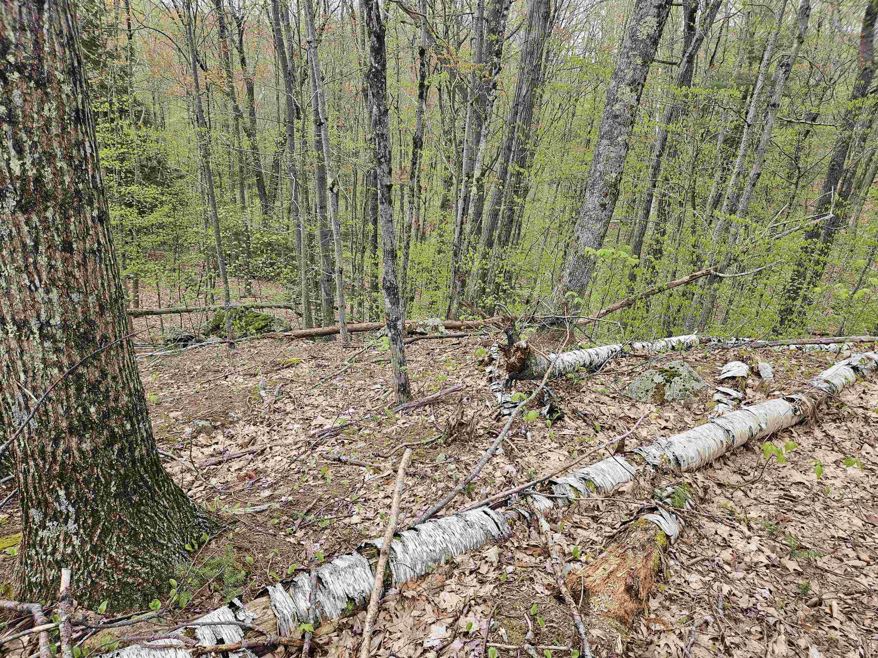 Homes for sale in Haverhill, NH | Lot 123 Paulsen Cir, Haverhill, NH 03765 | MLS# 5052214