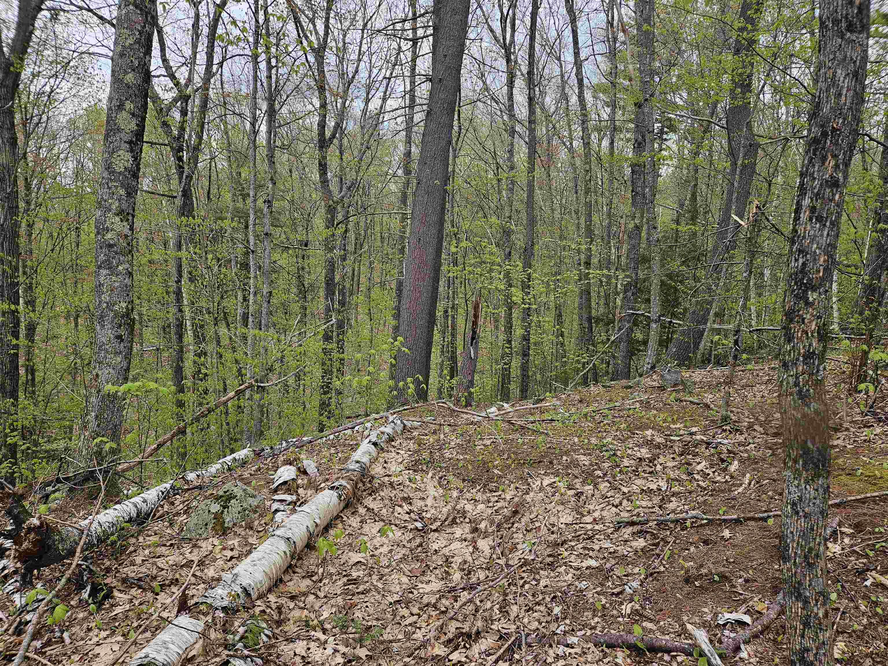 Homes for sale in Haverhill, NH | Lot 123 Paulsen Cir, Haverhill, NH 03765 | MLS# 5052214