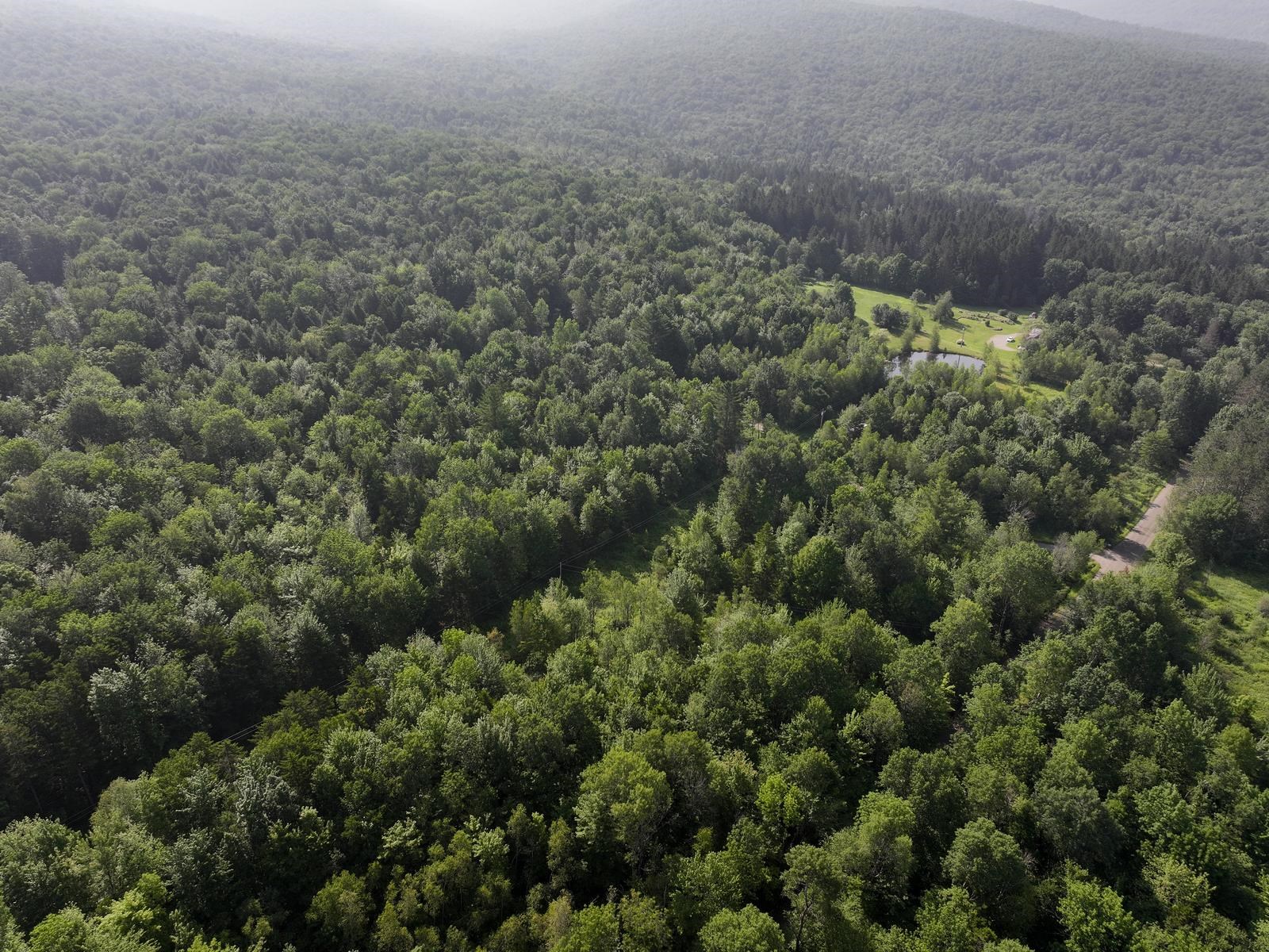 Homes for sale in Montgomery, VT | 0 Amidon Rd, Montgomery, VT 05471 | MLS# 5052247