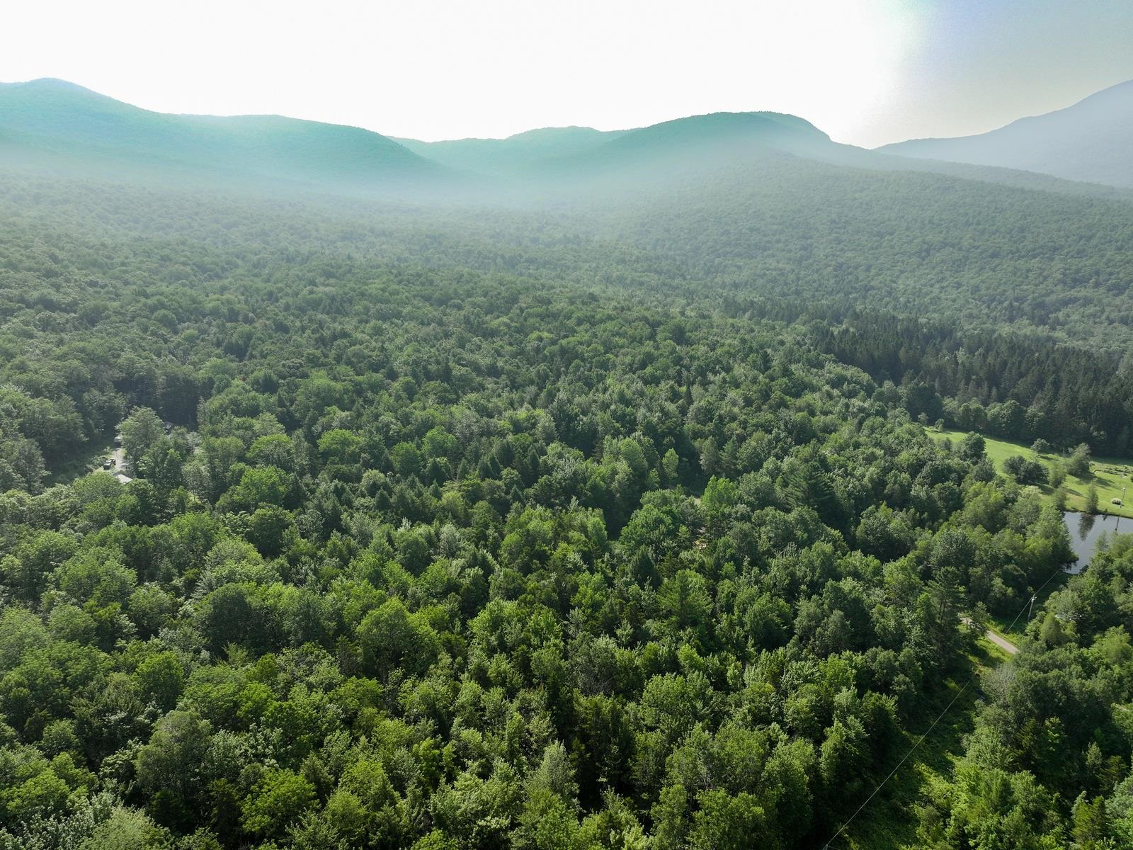 Homes for sale in Montgomery, VT | 0 Amidon Rd, Montgomery, VT 05471 | MLS# 5052247