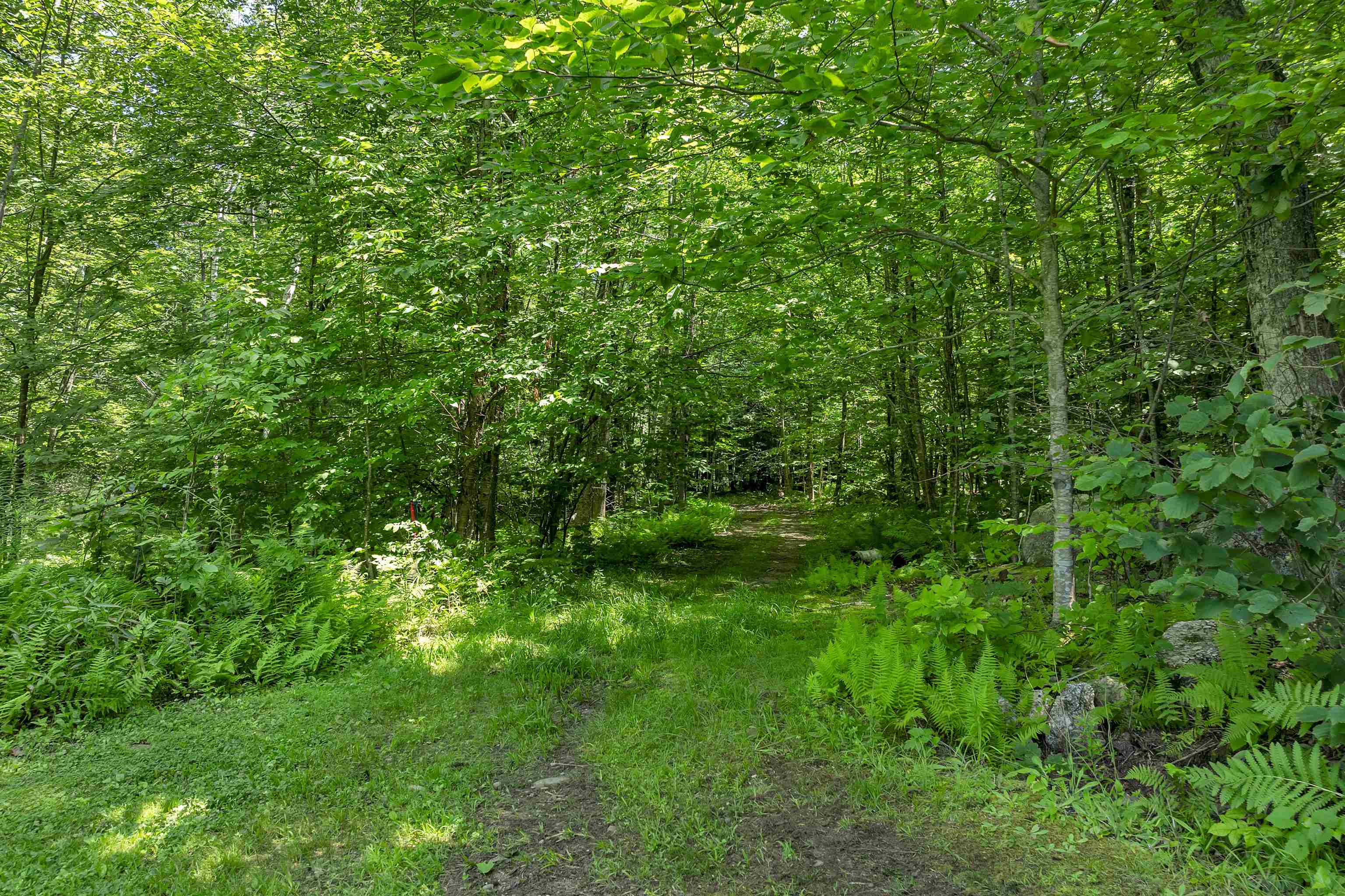 MLS #5052311 image #4