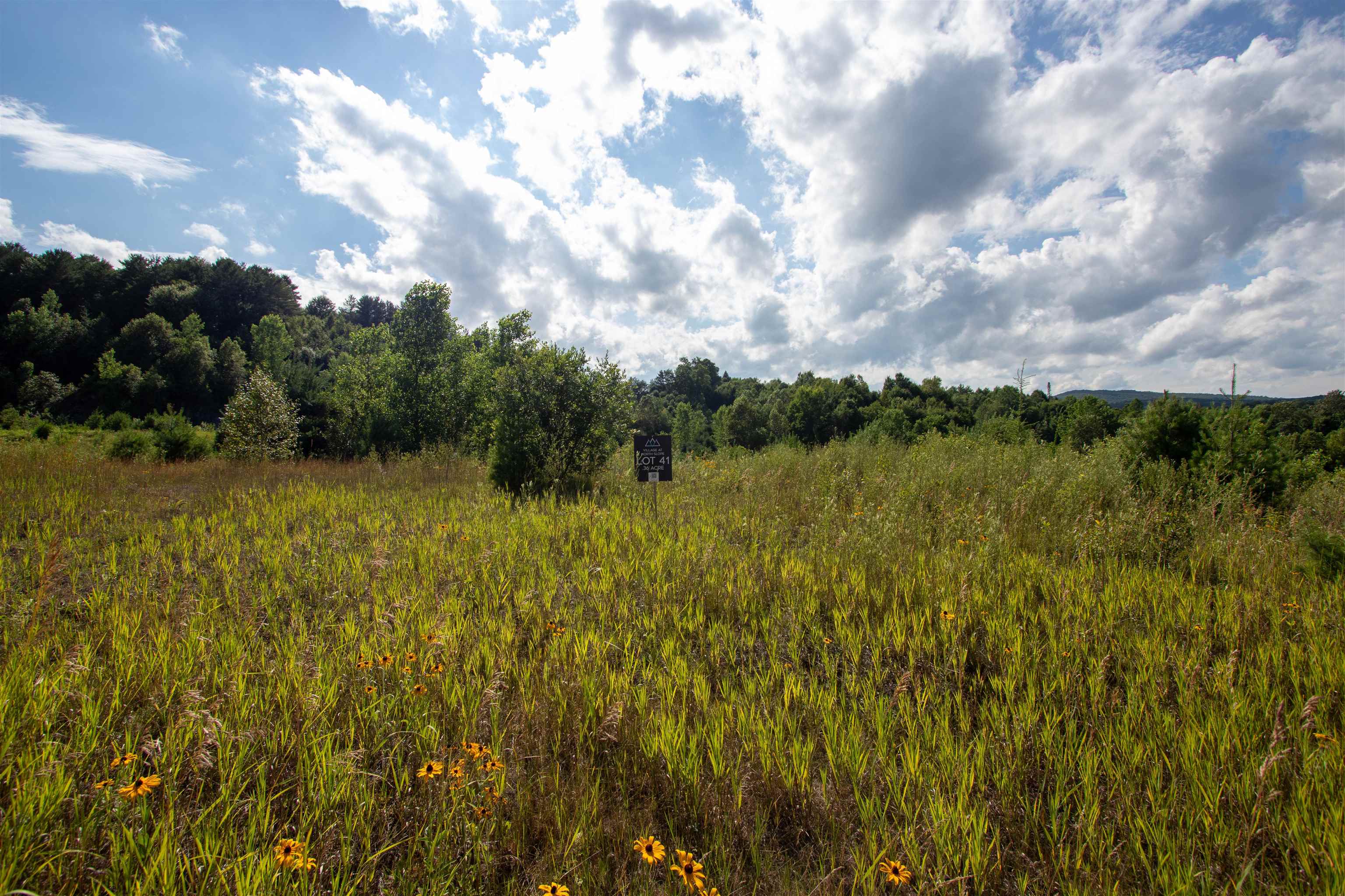 Homes for sale in St. Johnsbury, VT | 00 Deer Creek Ln, St. Johnsbury, VT 05819 | MLS# 5052416
