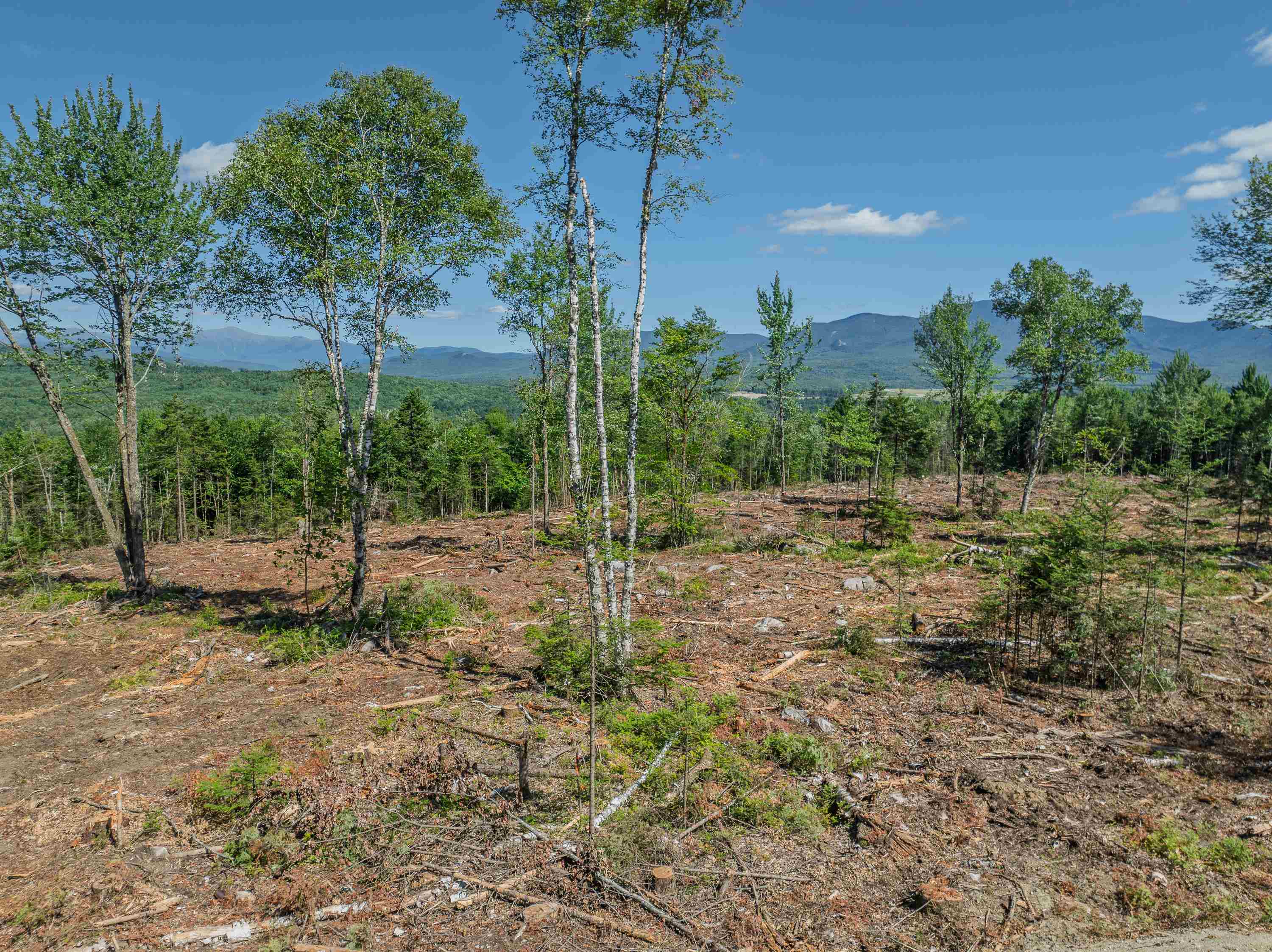 Homes for sale in Bethlehem, NH | 000 Ridge Rd, Bethlehem, NH 03574 | MLS# 5052424