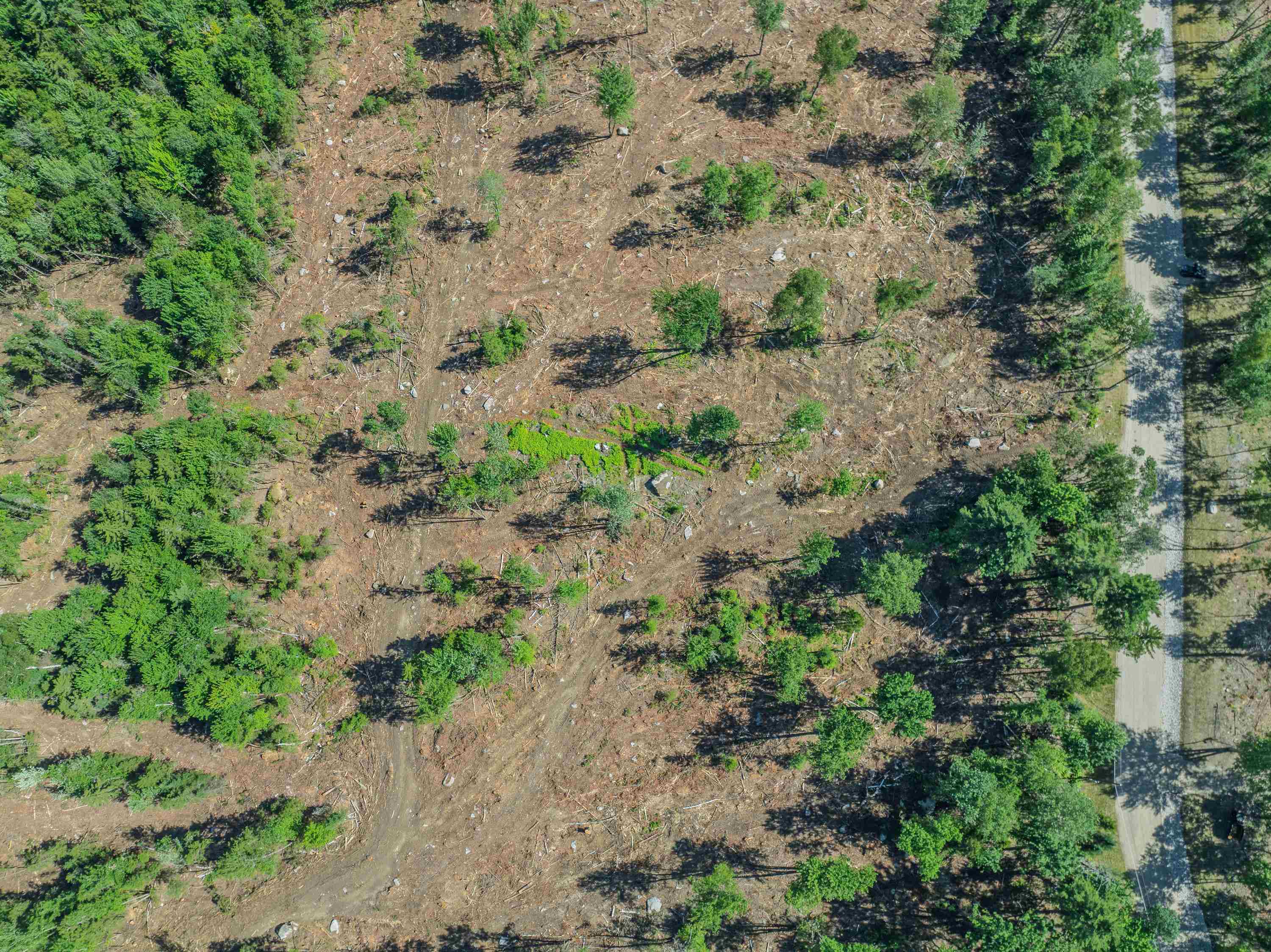 Homes for sale in Bethlehem, NH | 000 Ridge Rd, Bethlehem, NH 03574 | MLS# 5052424